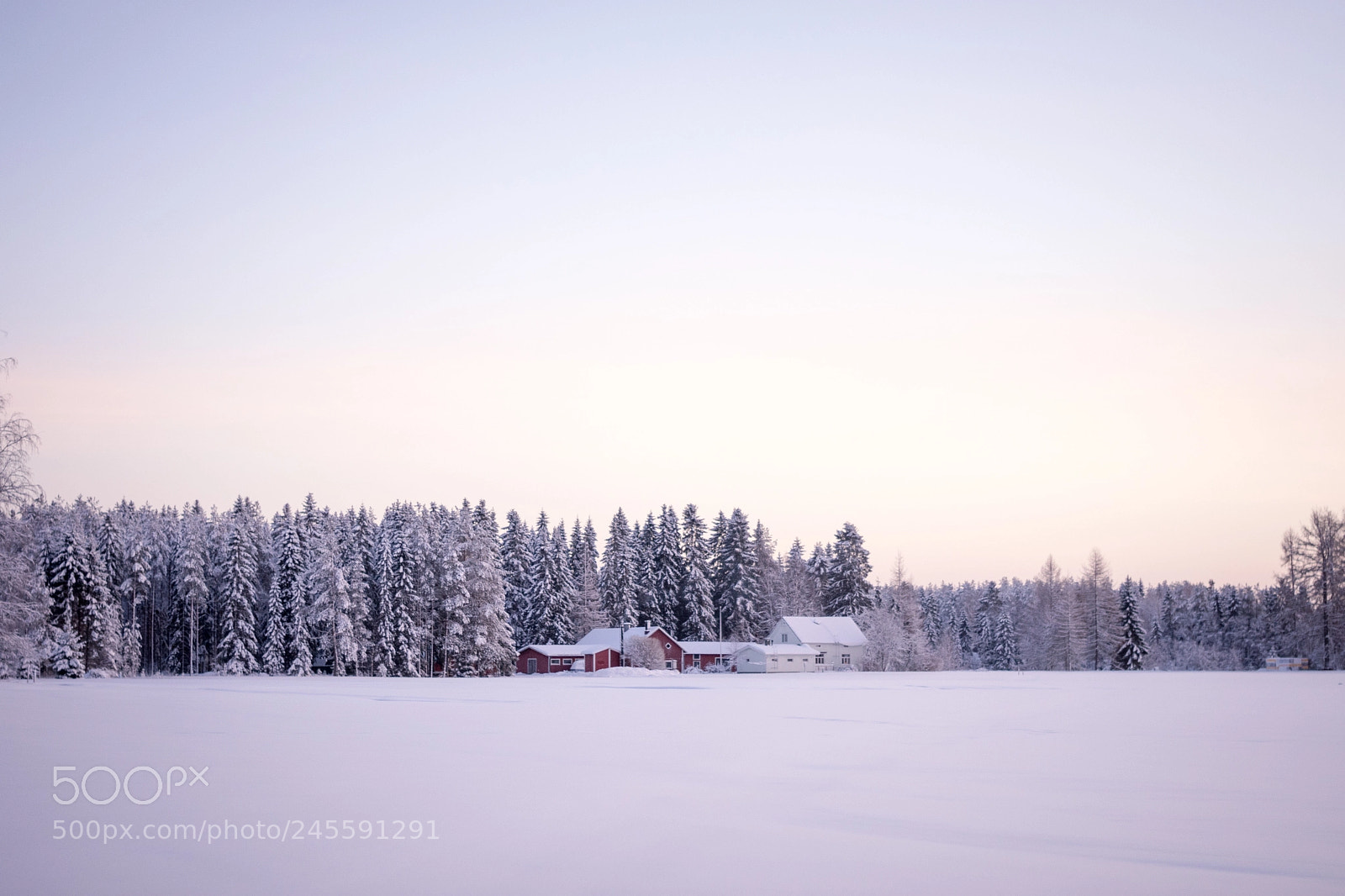 Nikon D7200 sample photo. Talvipäivä photography