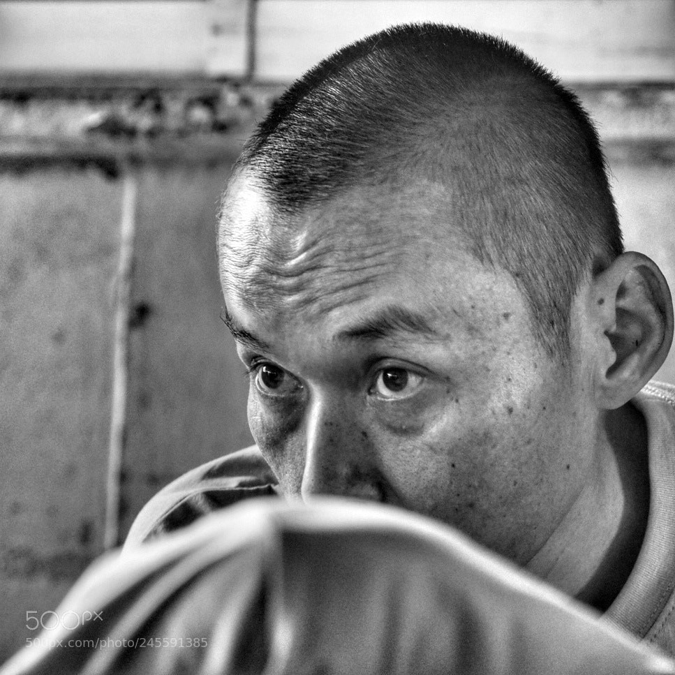 Olympus OM-D E-M1 Mark II sample photo. Untitled photography