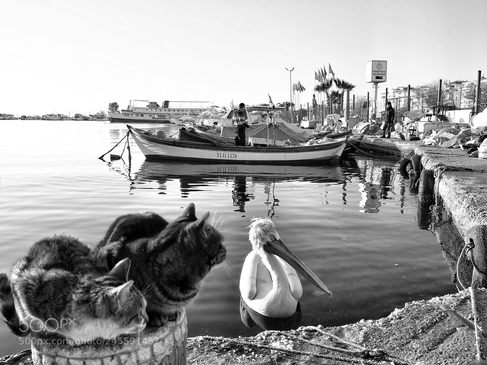 Olympus OM-D E-M10 III sample photo. The best trio | izmir photography