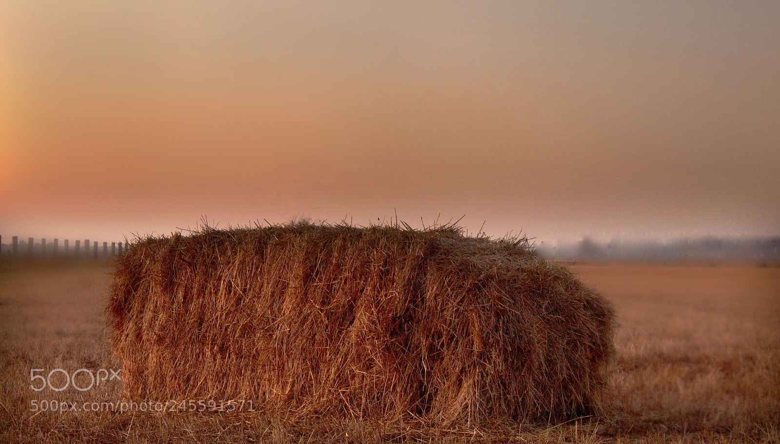 Canon EOS 600D (Rebel EOS T3i / EOS Kiss X5) sample photo. Lonesome bale photography