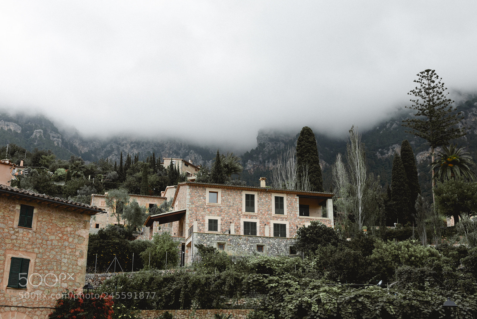 Nikon D7200 sample photo. Untitled view photography