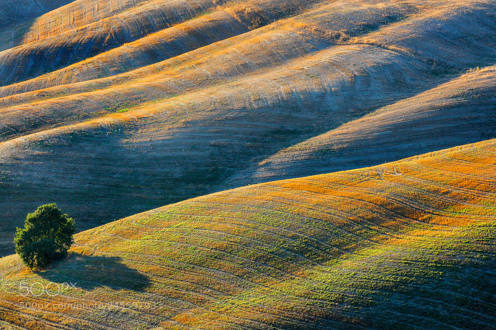 Canon EOS-1D Mark III sample photo. Tuscan earth.. photography
