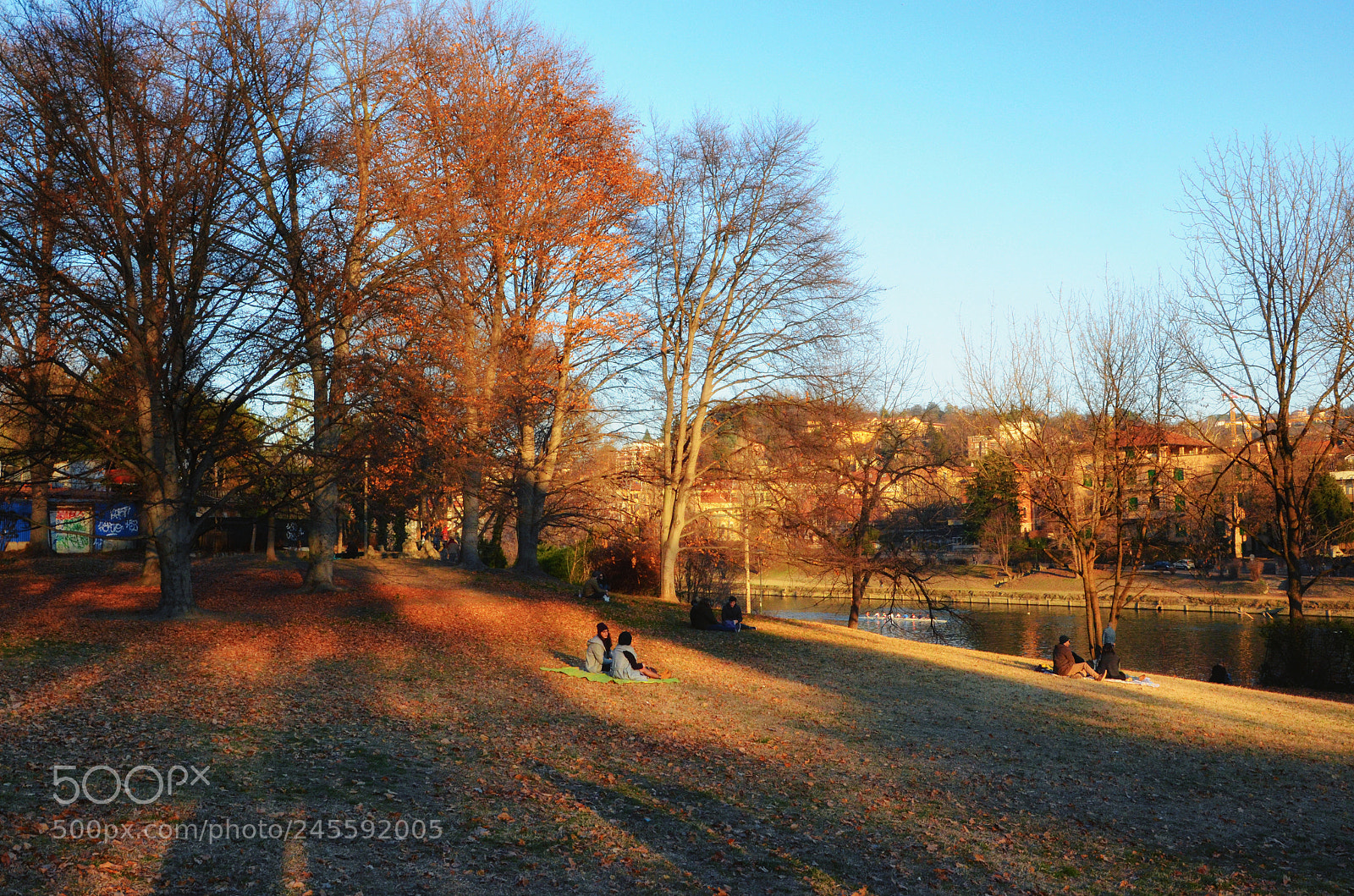Nikon D5100 sample photo. Parco del valentino photography