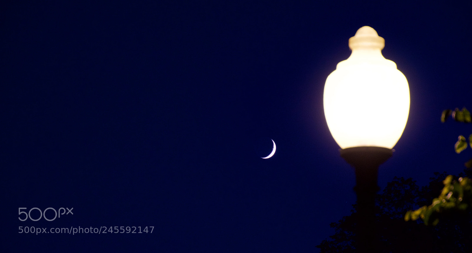 Nikon D7200 sample photo. Luz de luna photography