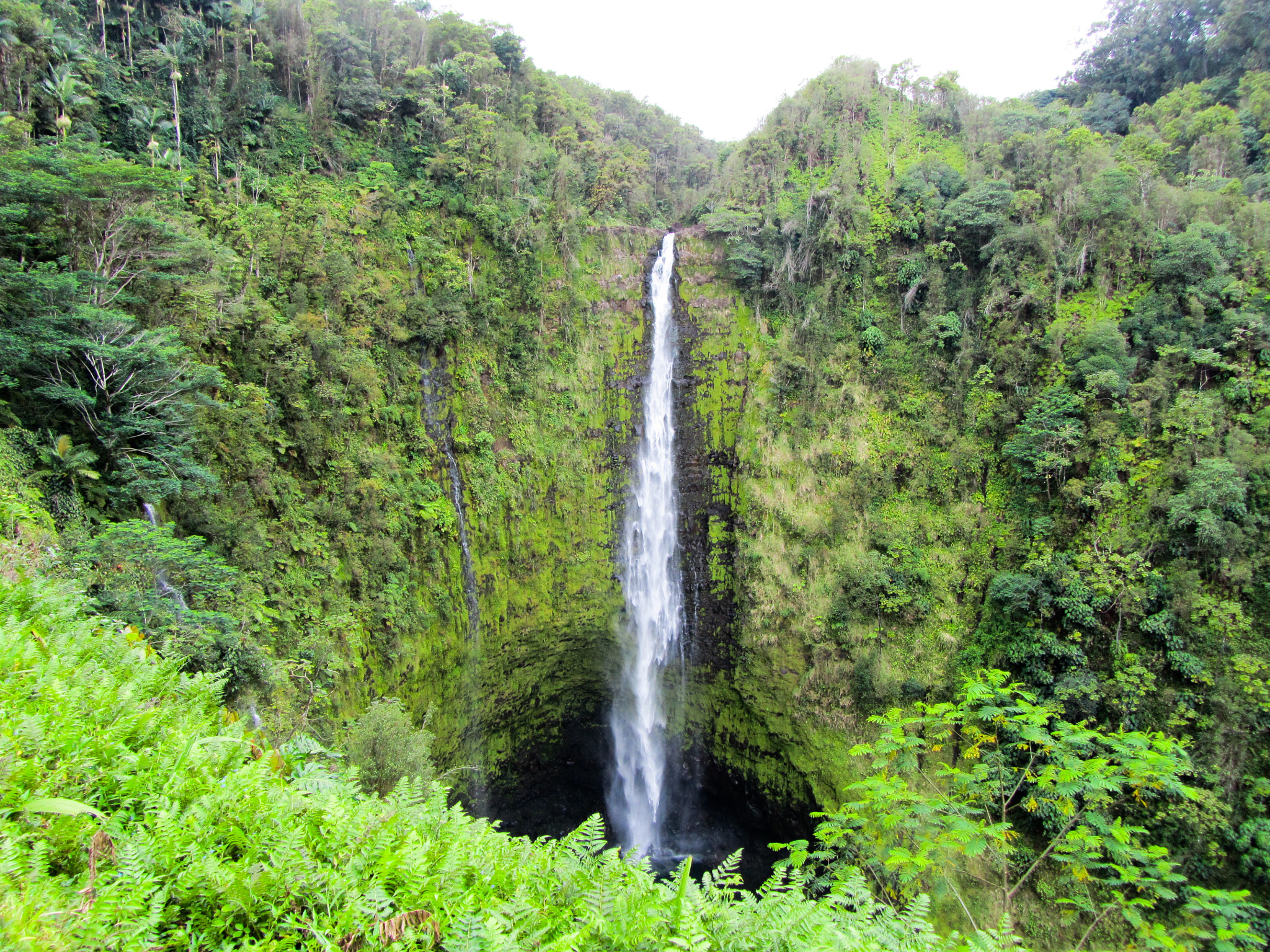 Canon PowerShot SX210 IS sample photo. Akaka falls photography