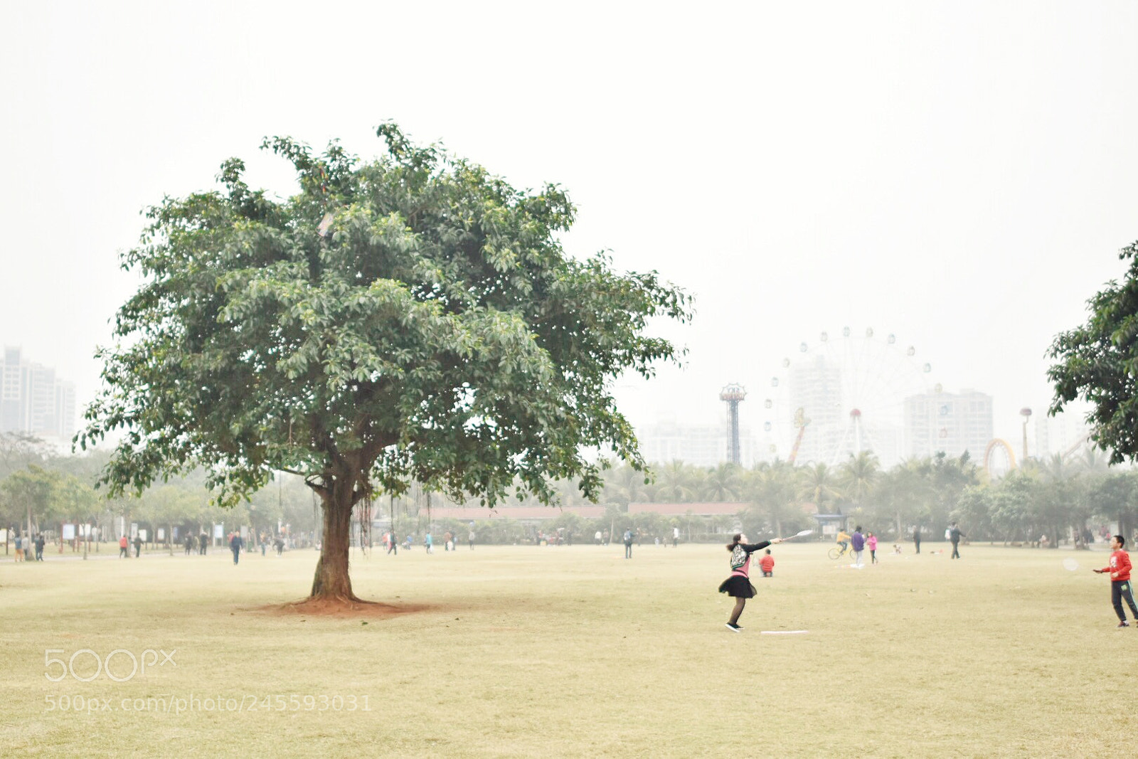 Nikon D5500 sample photo. Park photography