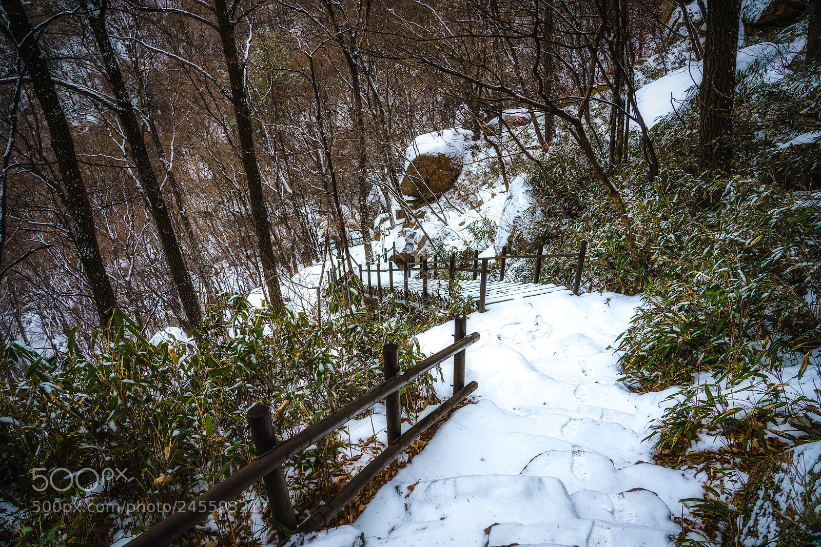 Sony a7R III sample photo. Snowy mountain path photography