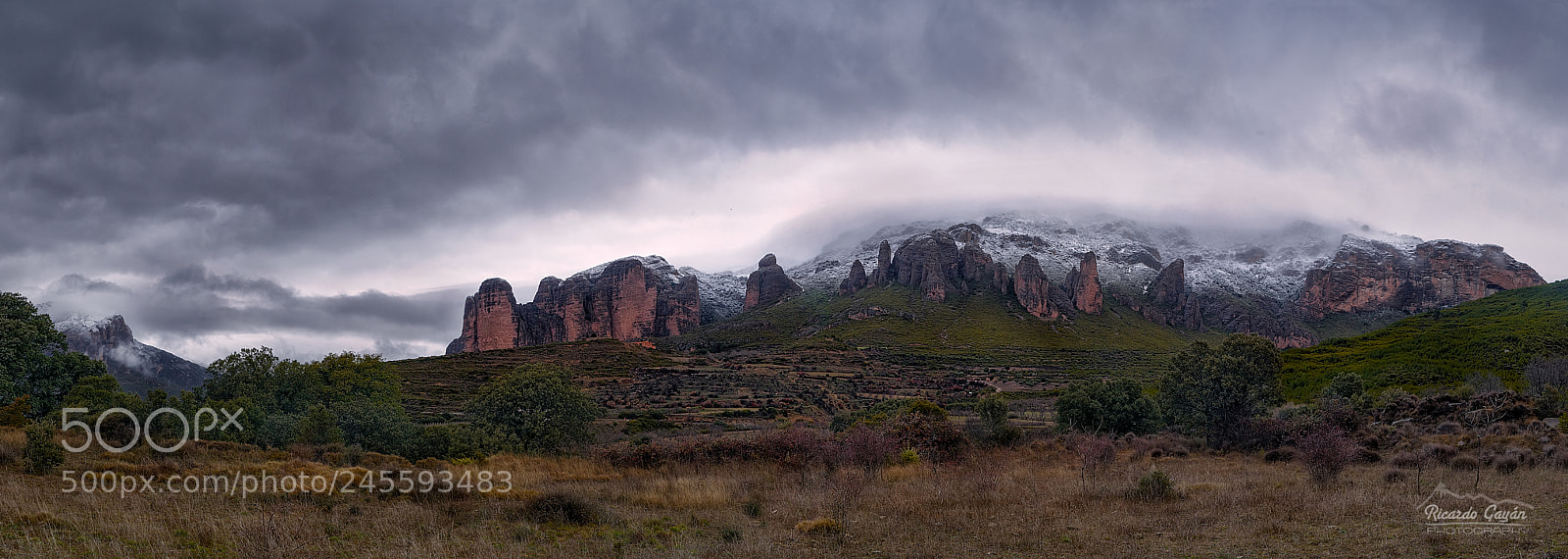 Sony a7R III sample photo. Winter in the kingdom photography