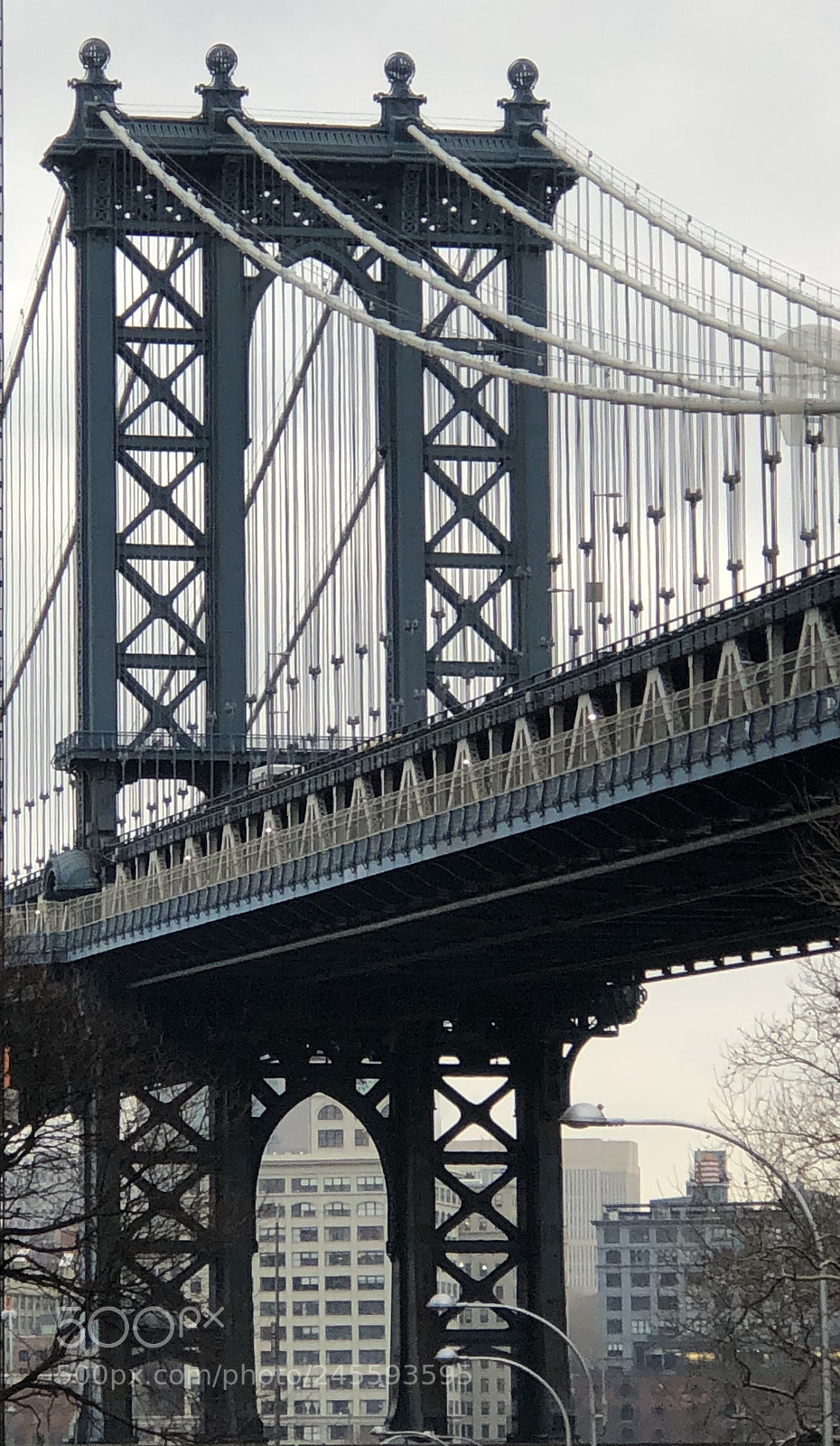 Apple iPhone 8 Plus sample photo. Untitled photography