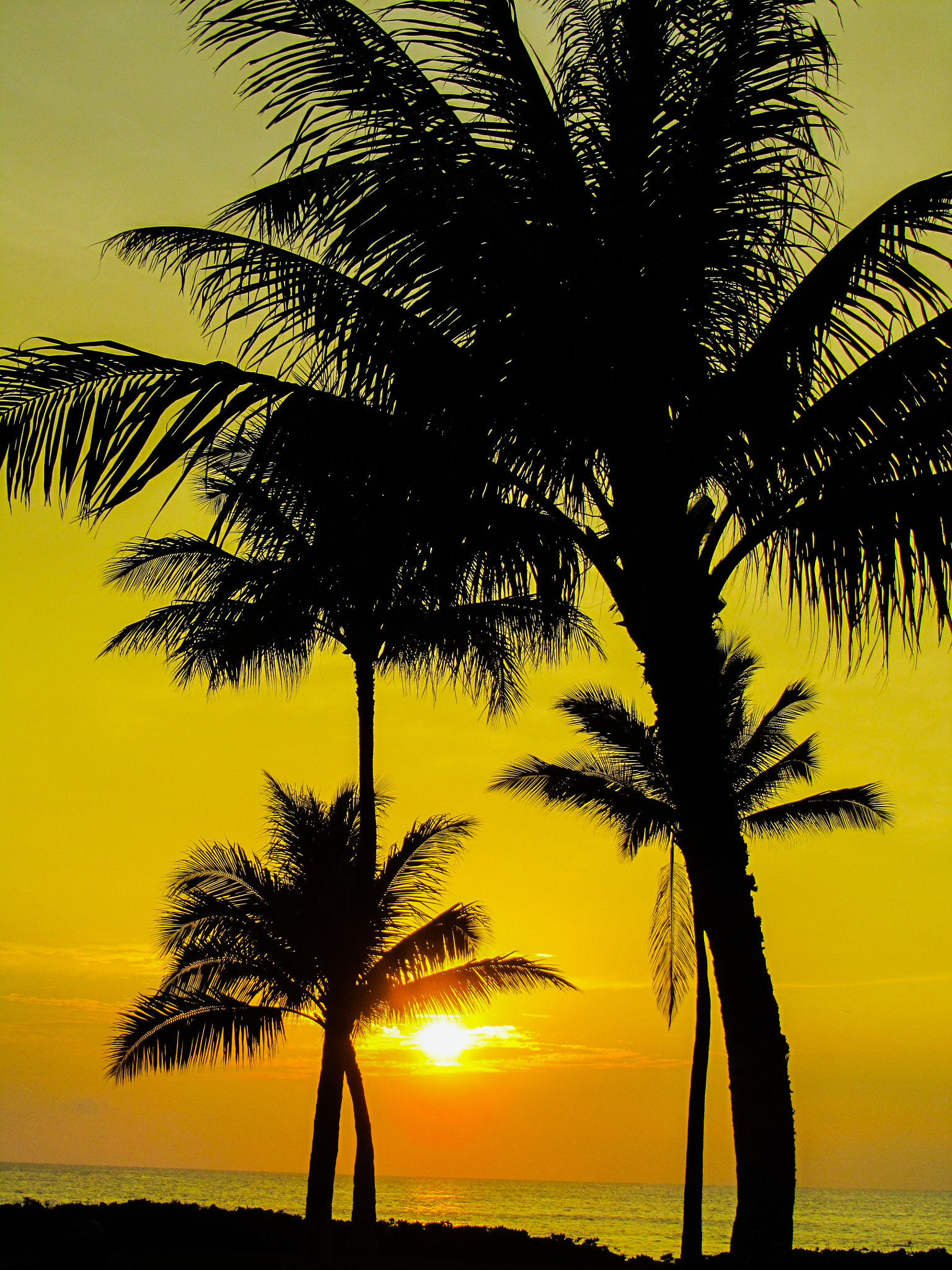 Canon PowerShot SX210 IS sample photo. Sunset hawaii photography
