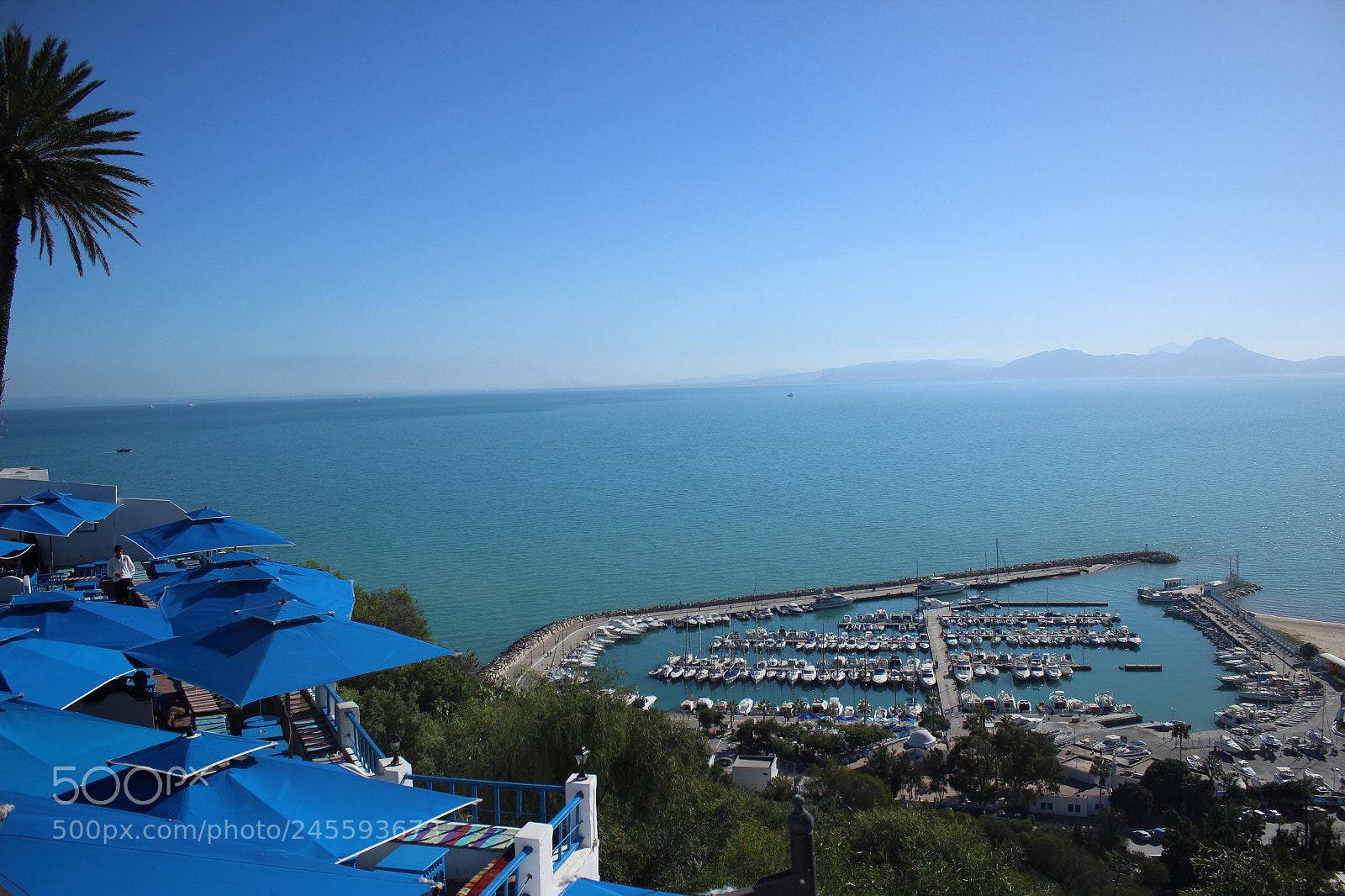 Canon EF-S 18-55mm F3.5-5.6 III sample photo. Colours beauty photography