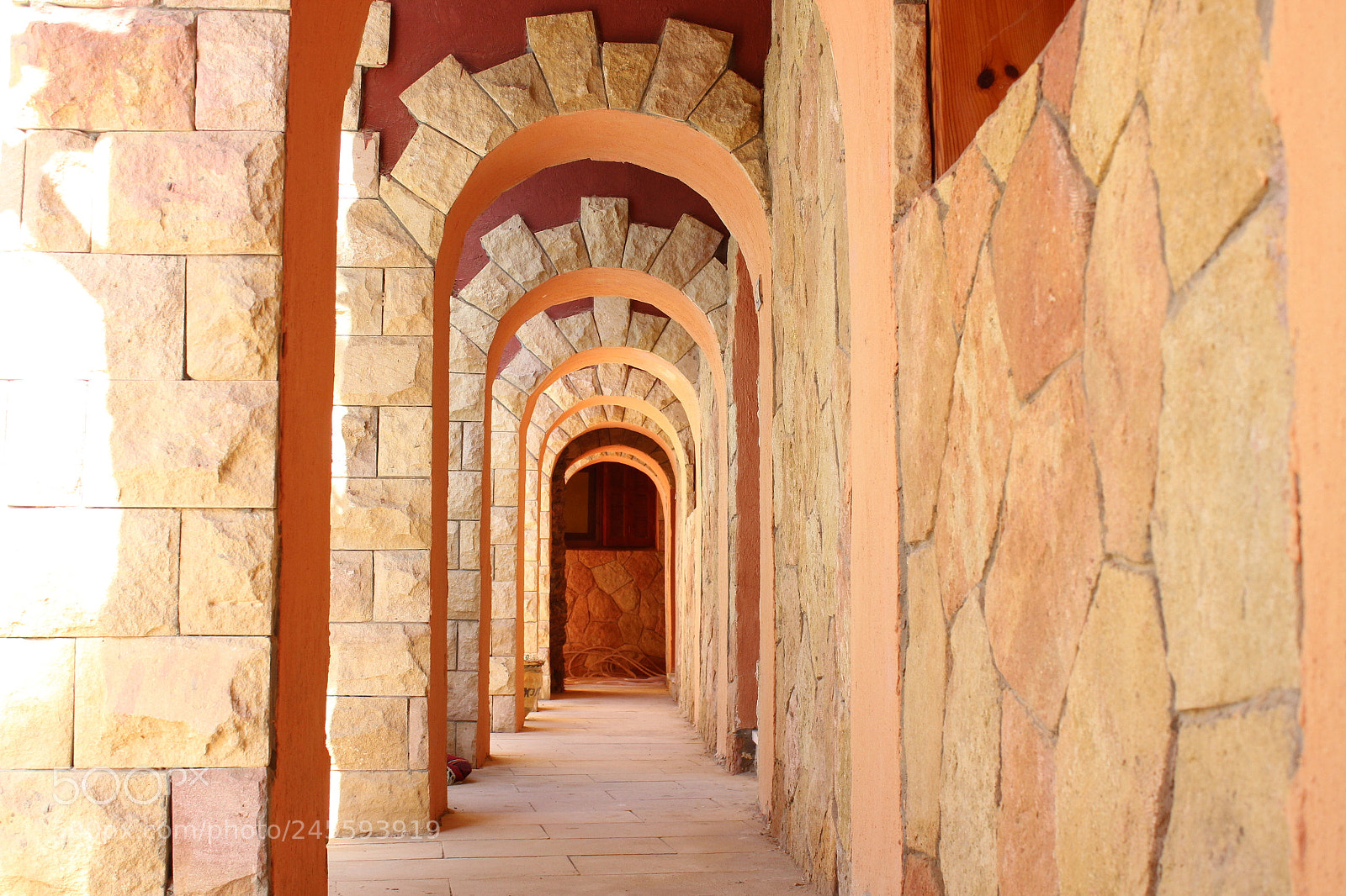 Canon EF-S 18-55mm F3.5-5.6 III sample photo. Have you ever wonder photography