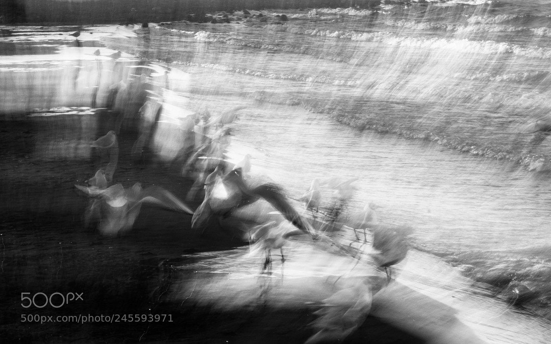 Nikon D5500 sample photo. / abstract art / photography