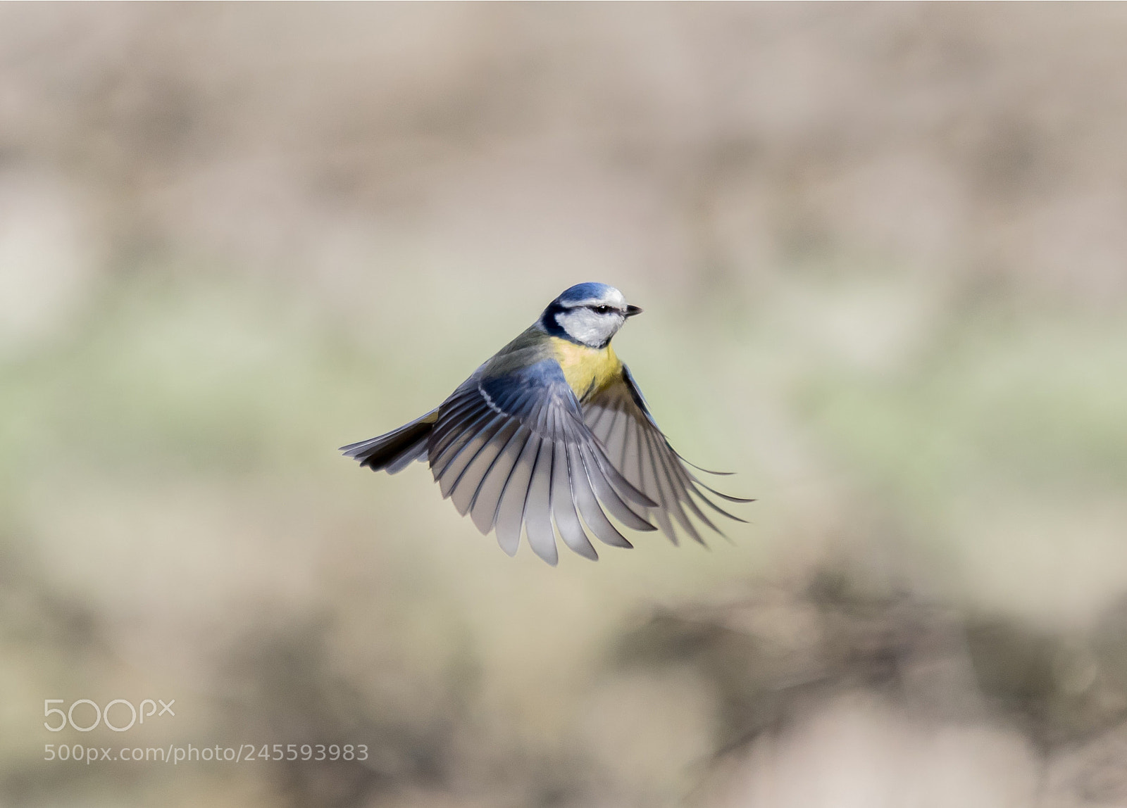 Canon EOS 7D Mark II sample photo. In-flight ?️ photography