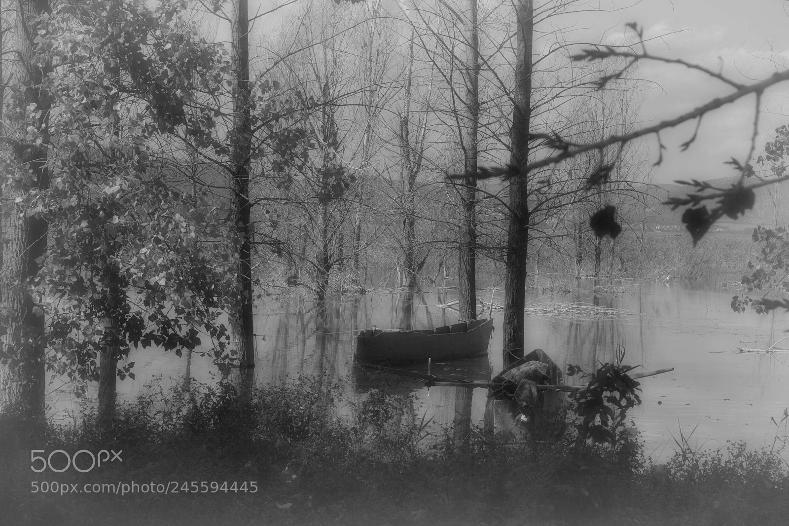 Nikon D5200 sample photo. Pictorialism photography