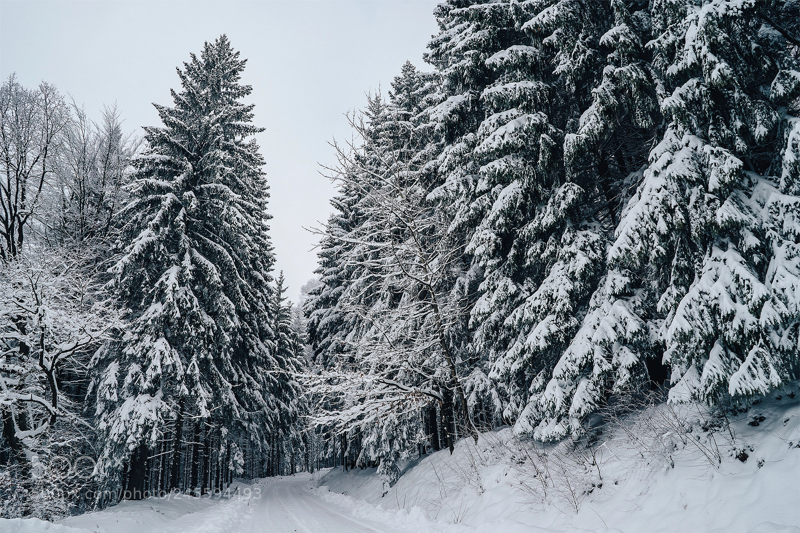 Sony a7 II sample photo. Somewhere in the mountains ... photography