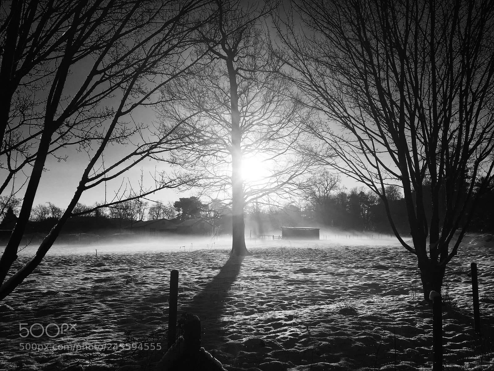 Apple iPhone 6s sample photo. Winter morning in paris photography