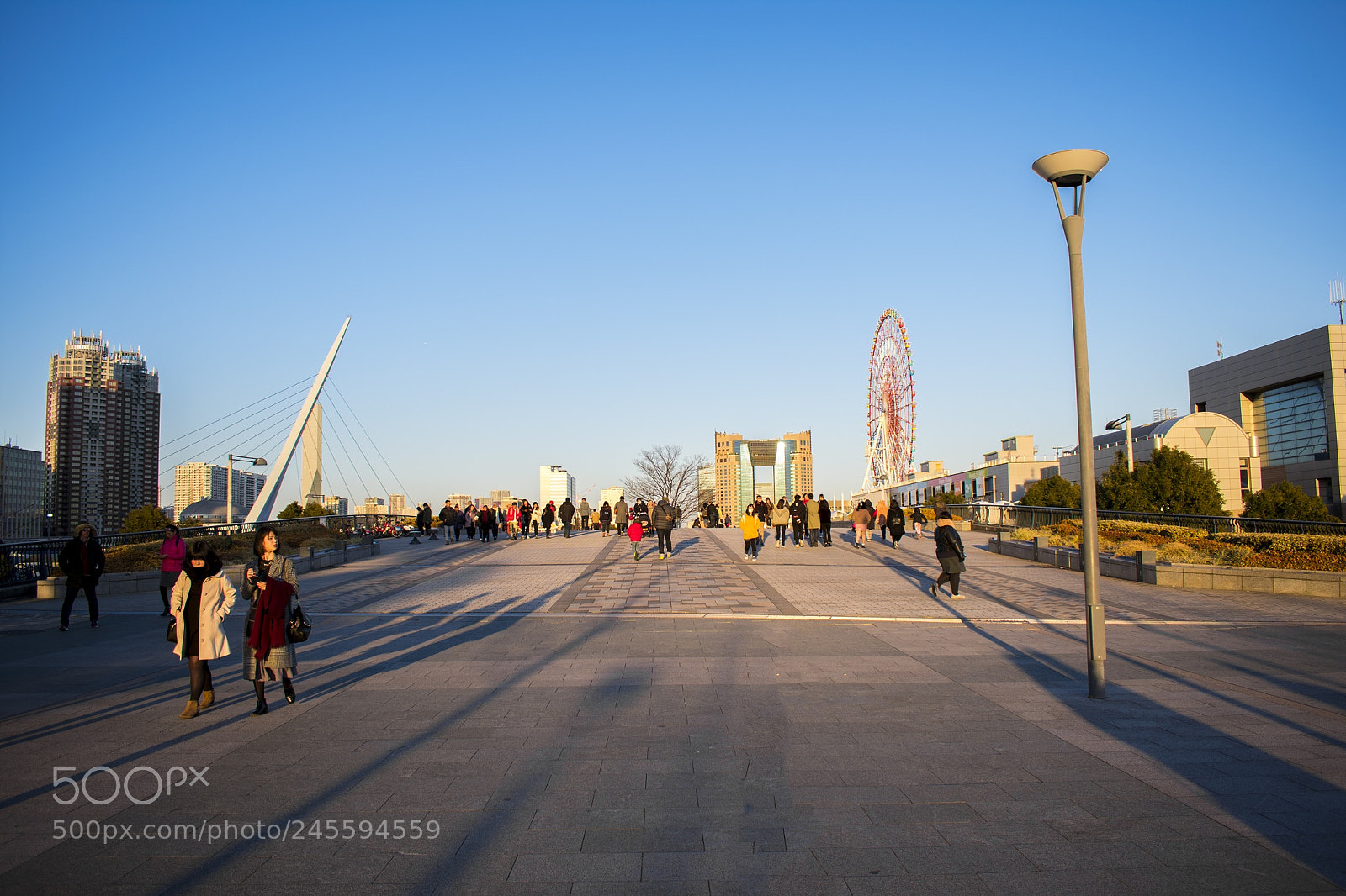 Nikon D3400 sample photo. The time between golden photography