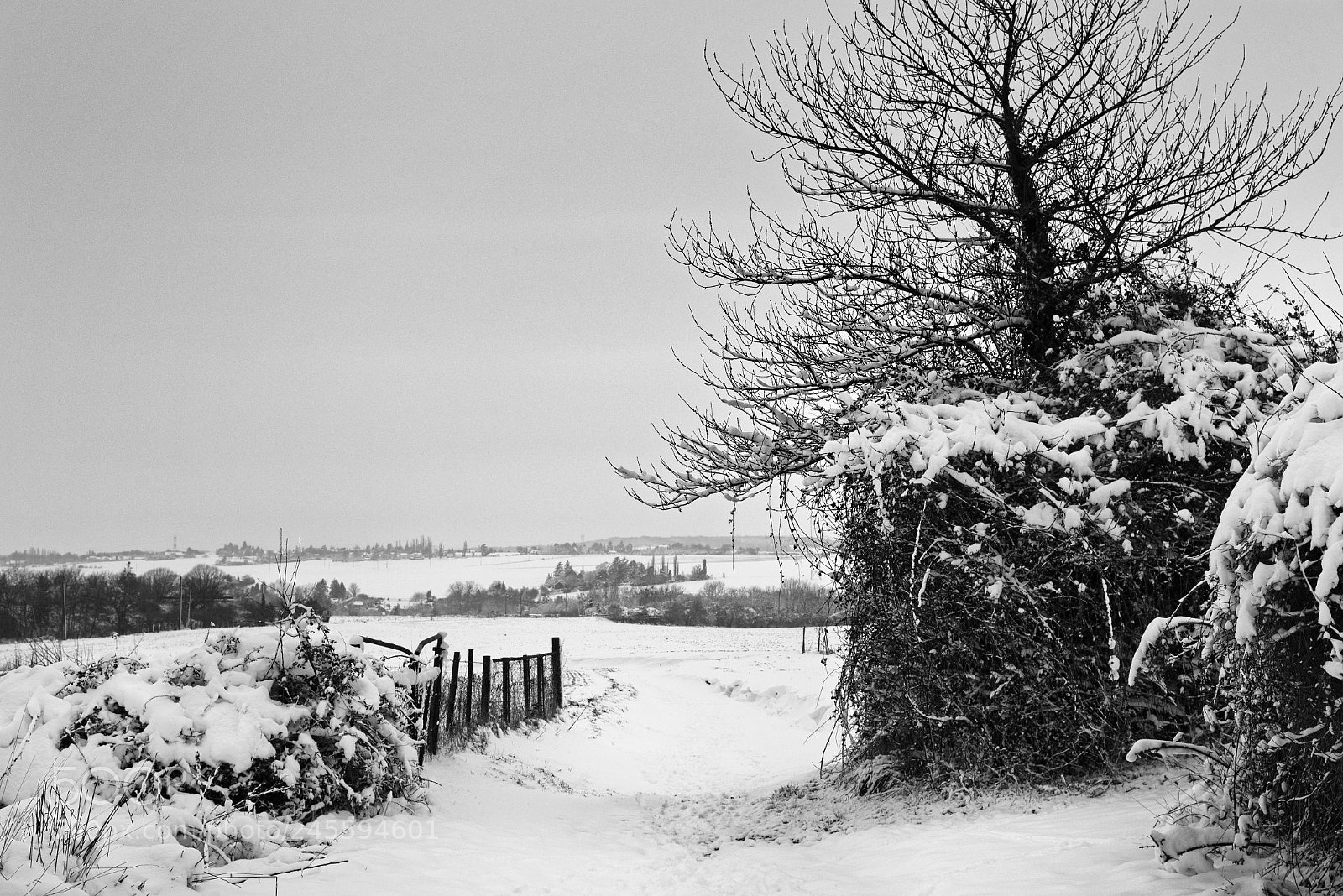 Nikon AF-S Nikkor 24-120mm F4G ED VR sample photo. Winter photography
