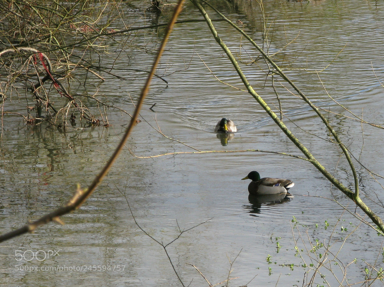 Canon POWERSHOT G9 sample photo. Peace of mind photography