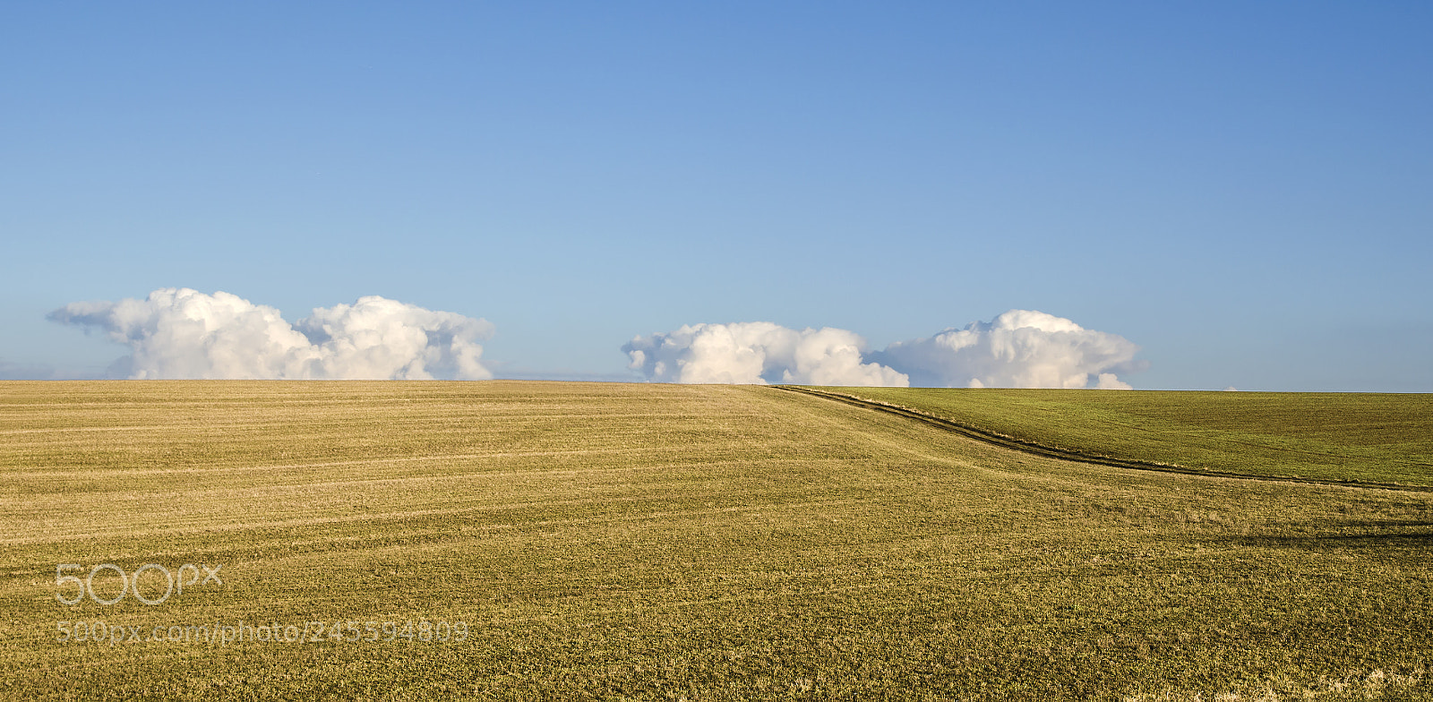 Nikon D5100 sample photo. Field 3 photography