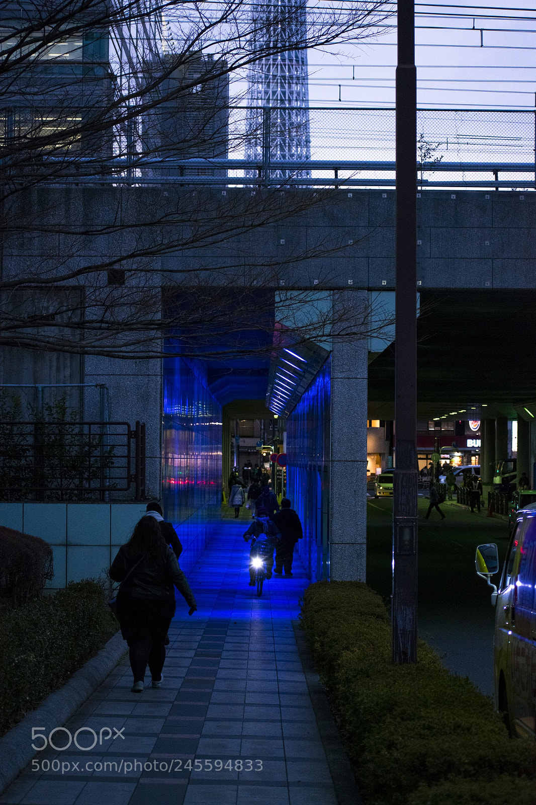 Nikon D3400 sample photo. Tokyo streets are photogenic photography
