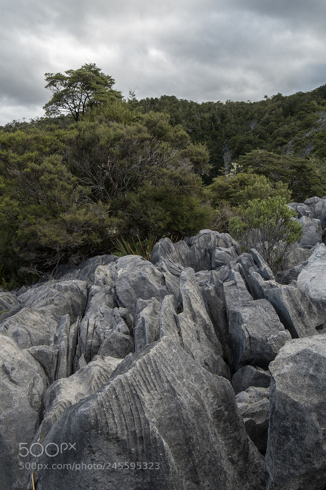 Nikon D500 sample photo. Karren, gorge stream viewpoint photography