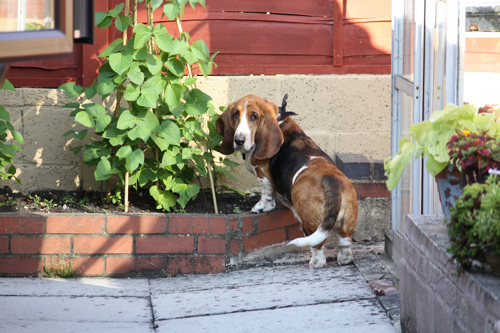 Canon EF-S 55-250mm F4-5.6 IS sample photo