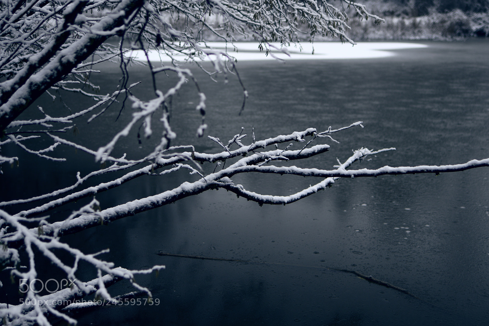 Nikon D7500 sample photo. At the dark lakeside photography