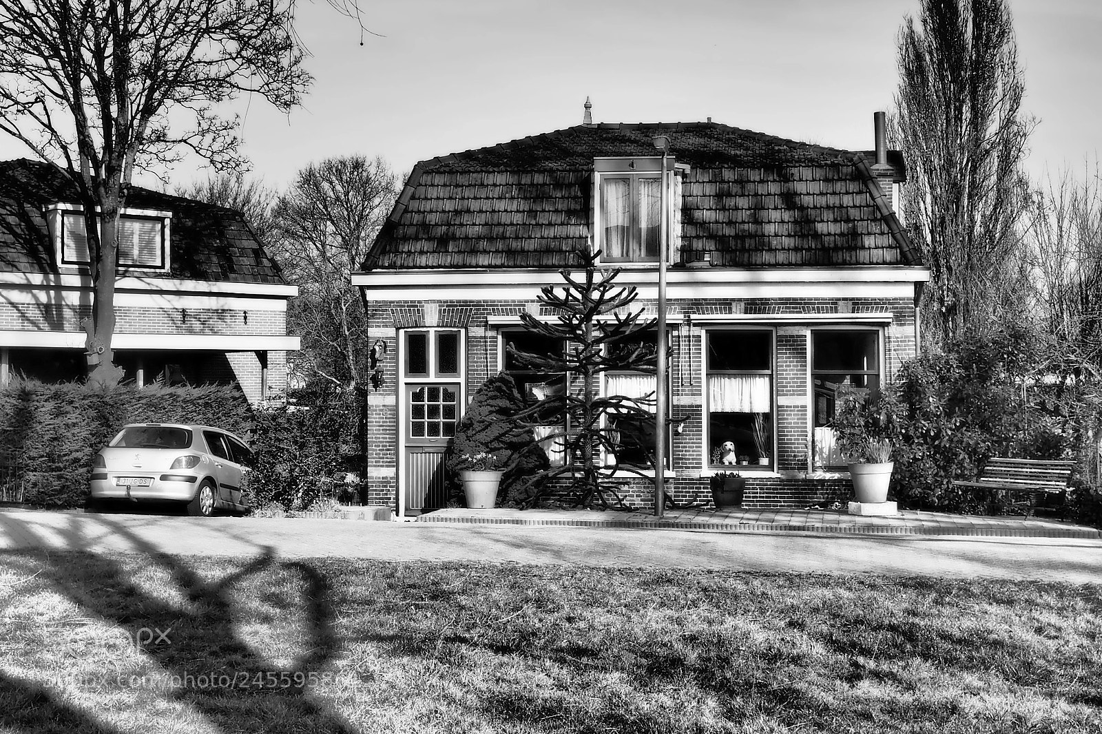 Olympus PEN E-PL7 sample photo. Overweersepolderdijk, purmerend, nh. netherlands photography