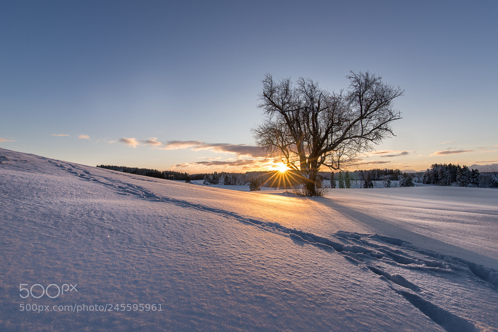 Sony SLT-A99V sample photo. Winter-sunrise photography