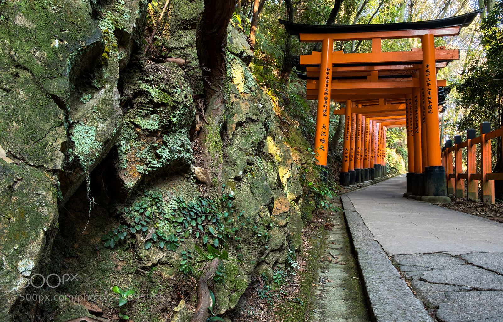 Fujifilm X-T20 sample photo. Toriis in the mountain photography
