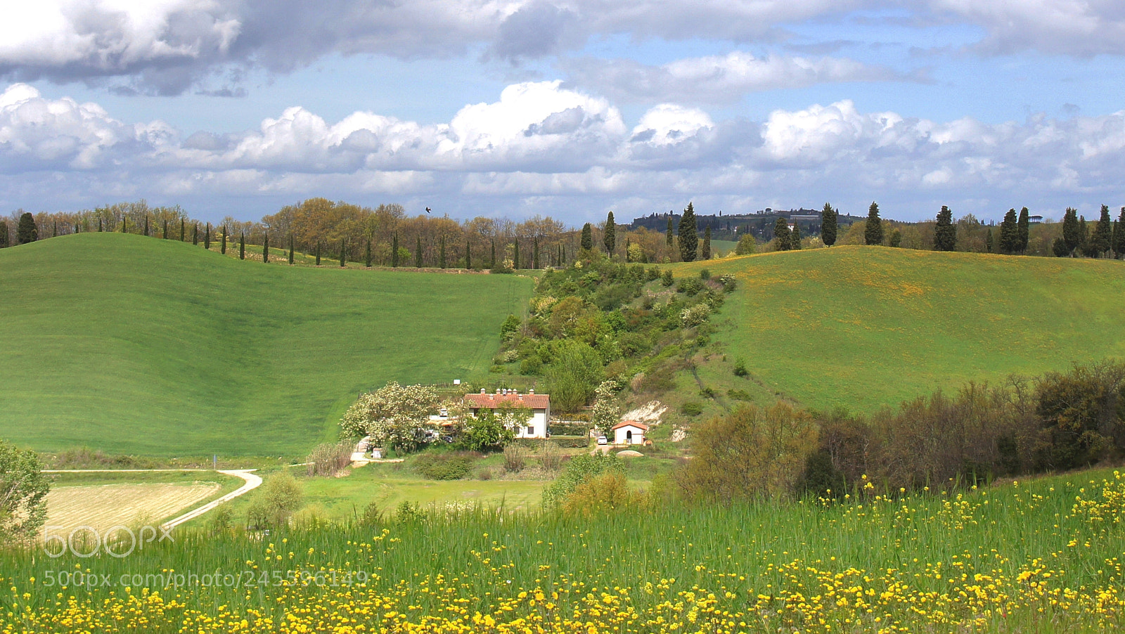 Sony SLT-A55 (SLT-A55V) sample photo. Toscane photography