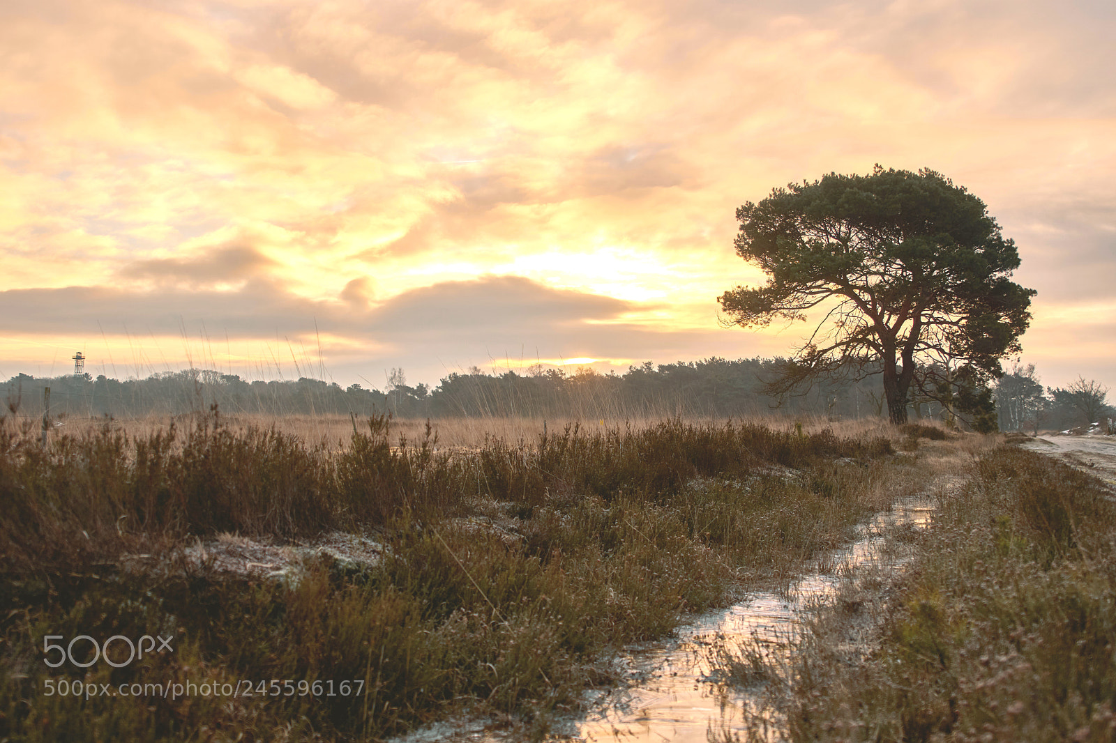 Sony ILCA-77M2 sample photo. Sunrise photography