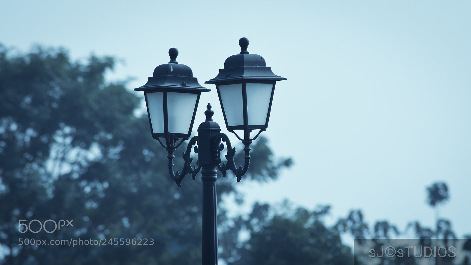 Nikon D5100 sample photo. Untitled photography