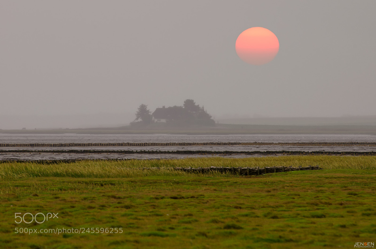 Nikon D5100 sample photo. Silent sunset photography