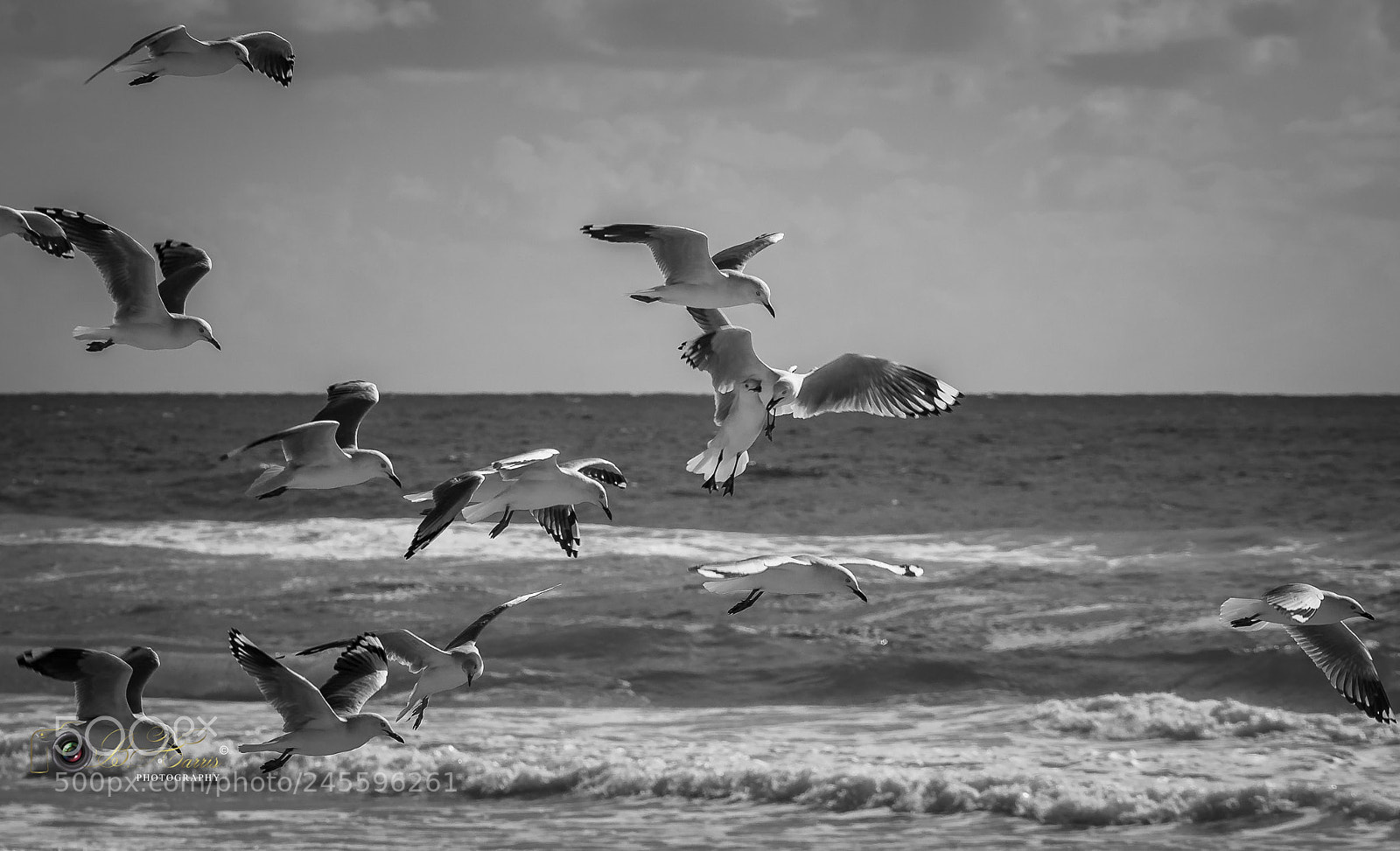 Sony a7 II sample photo. Air collision. photography