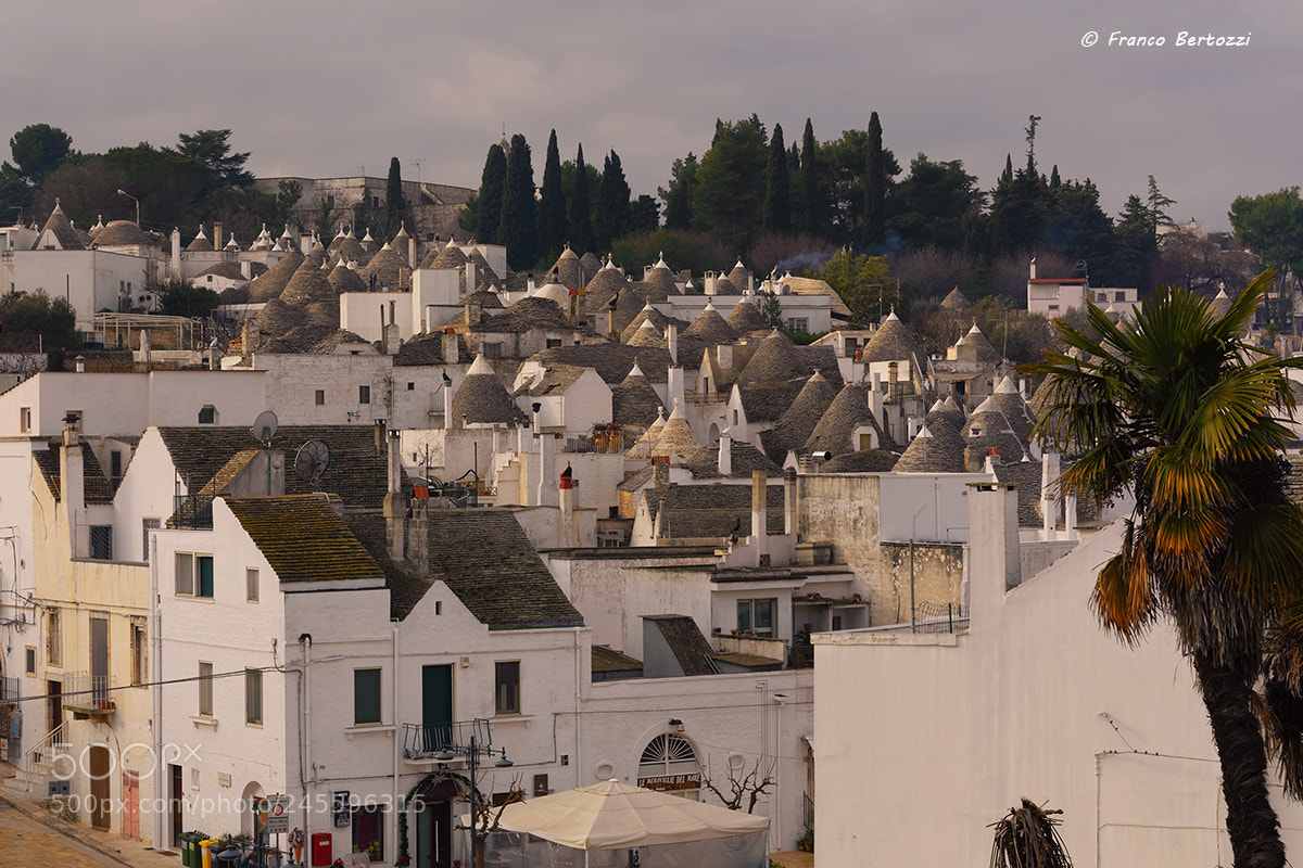 Nikon D610 sample photo. Alberobello photography
