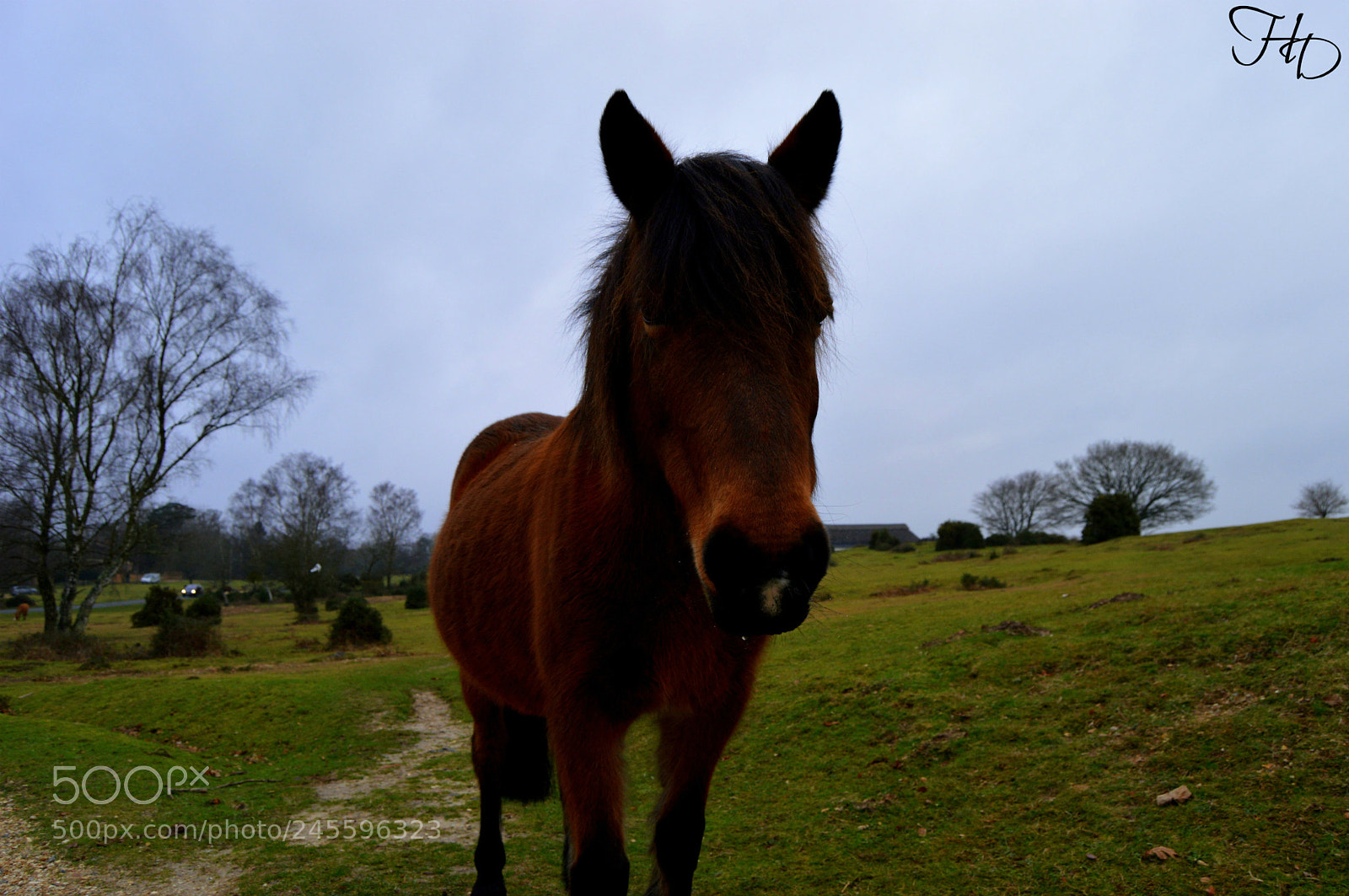 Nikon D3200 sample photo. Focus on me photography