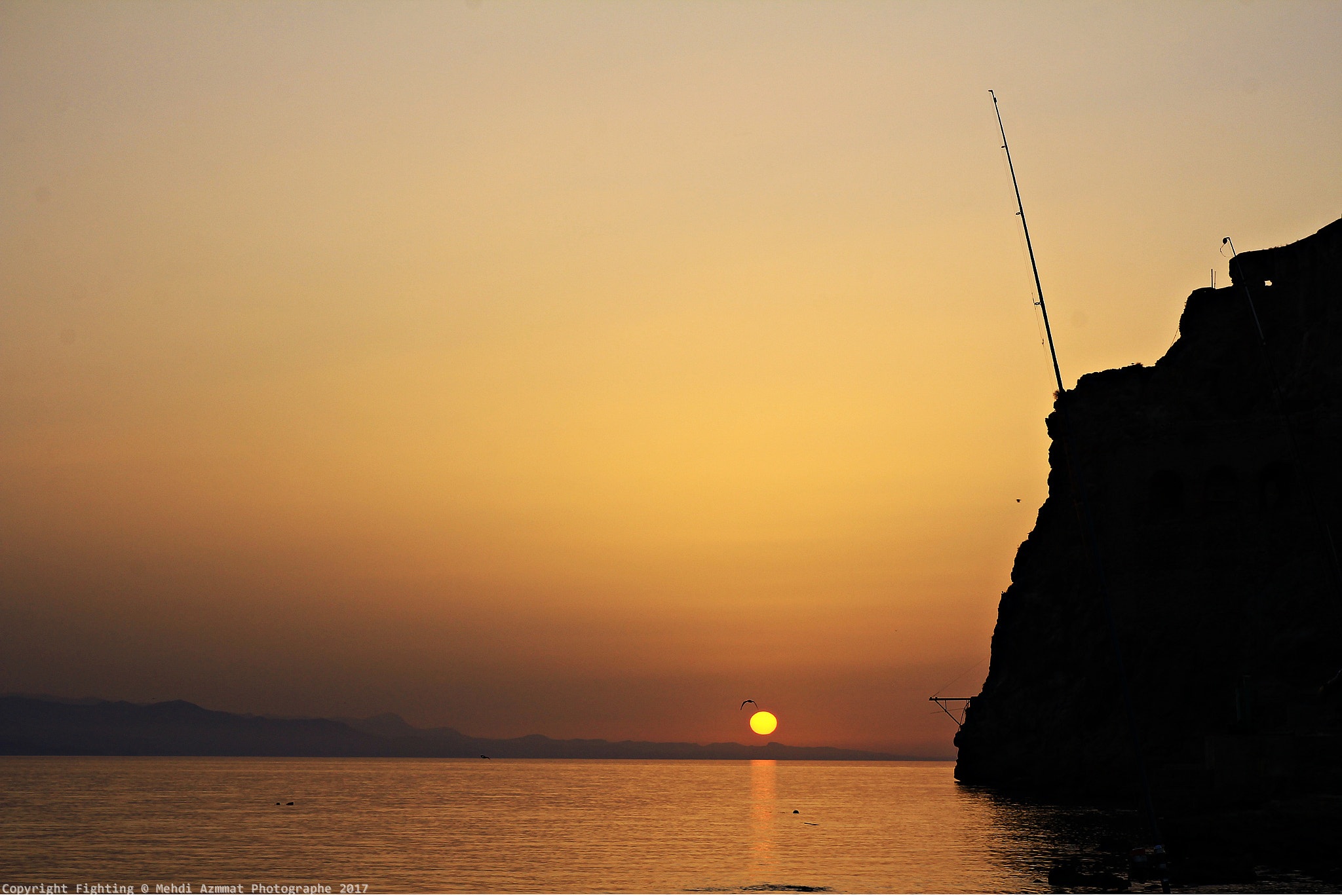 Canon EOS 60D sample photo. Img photography