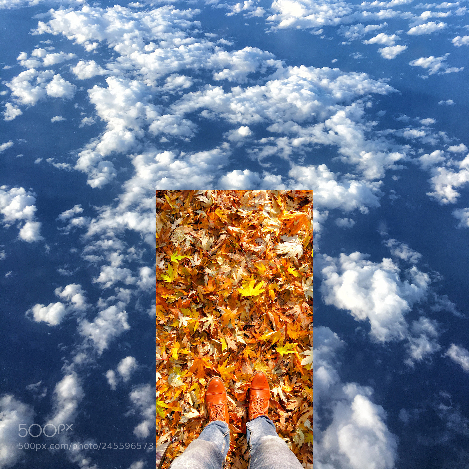 Apple iPhone 6s Plus sample photo. Gone with leaves.jpg photography