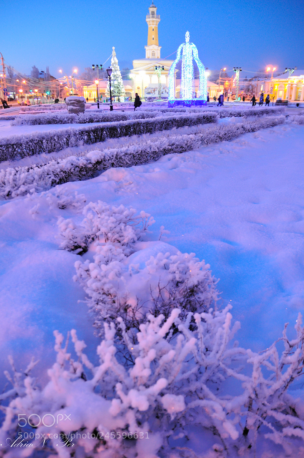 Nikon D300S sample photo. Kostroma evening .winter. photography