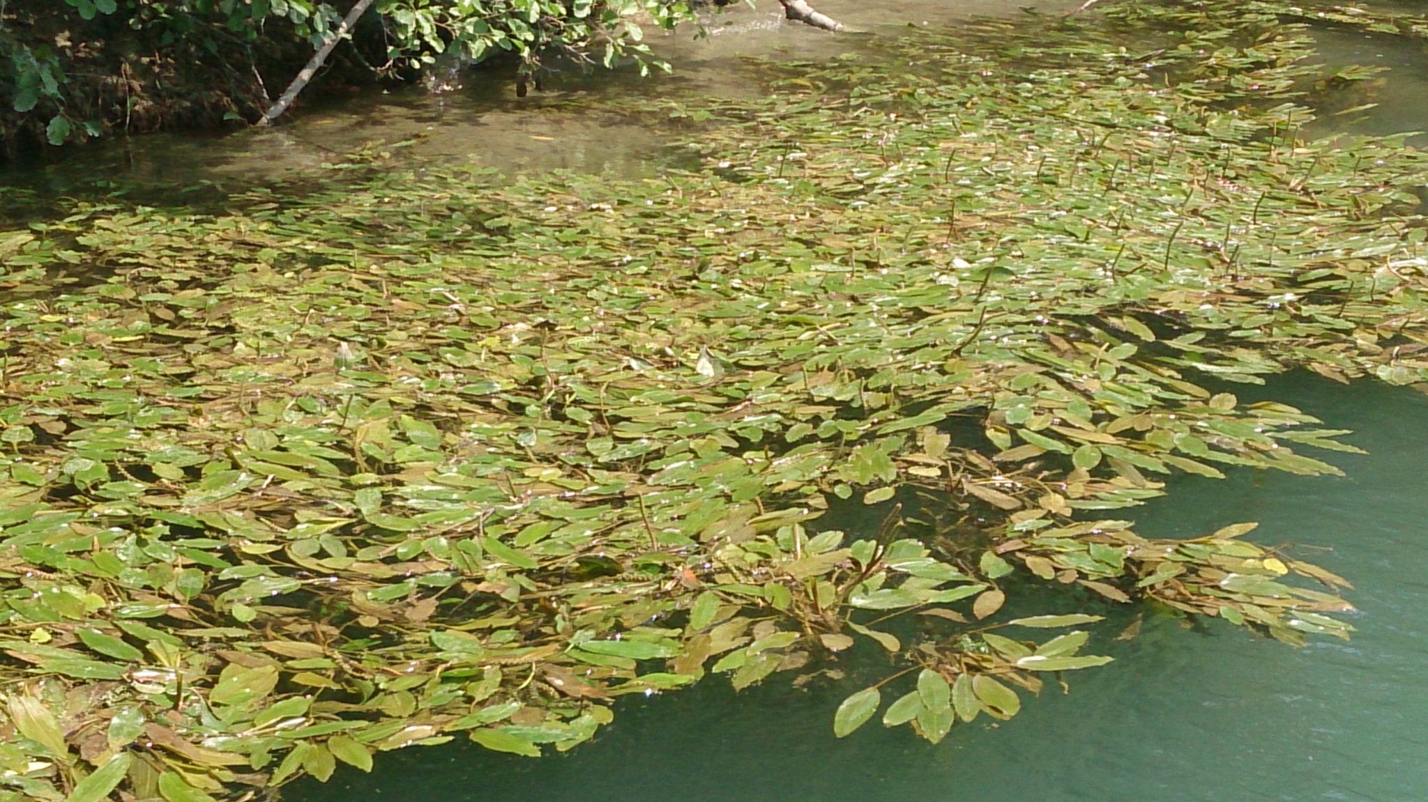 Sony Xperia Z sample photo. Dsc photography