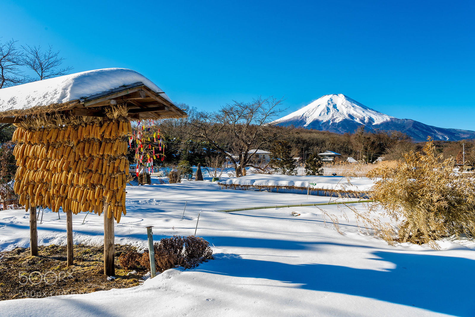 Nikon D800 sample photo. Mt. fuji in february photography