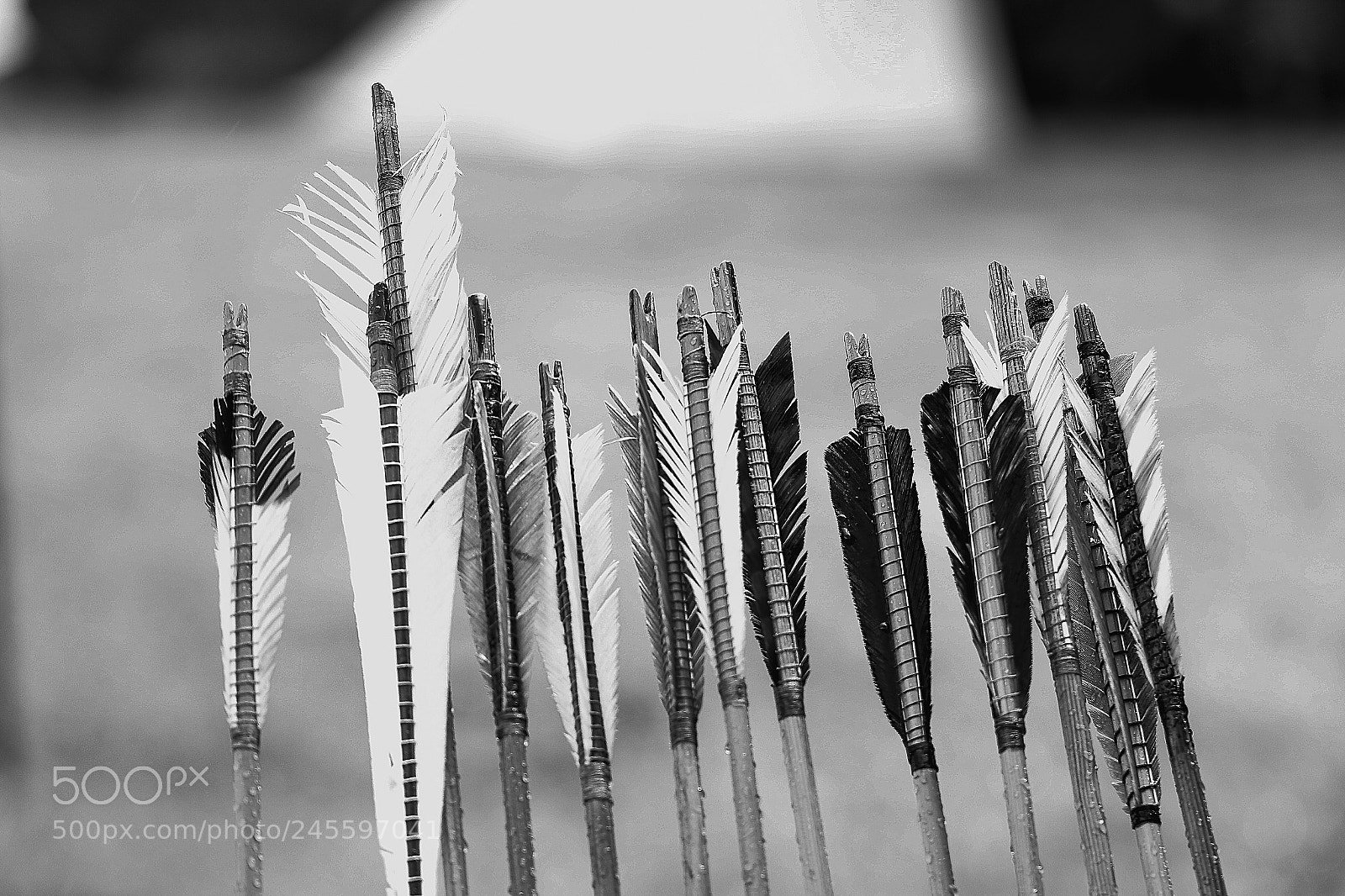 Canon EOS 7D Mark II sample photo. Arrows photography