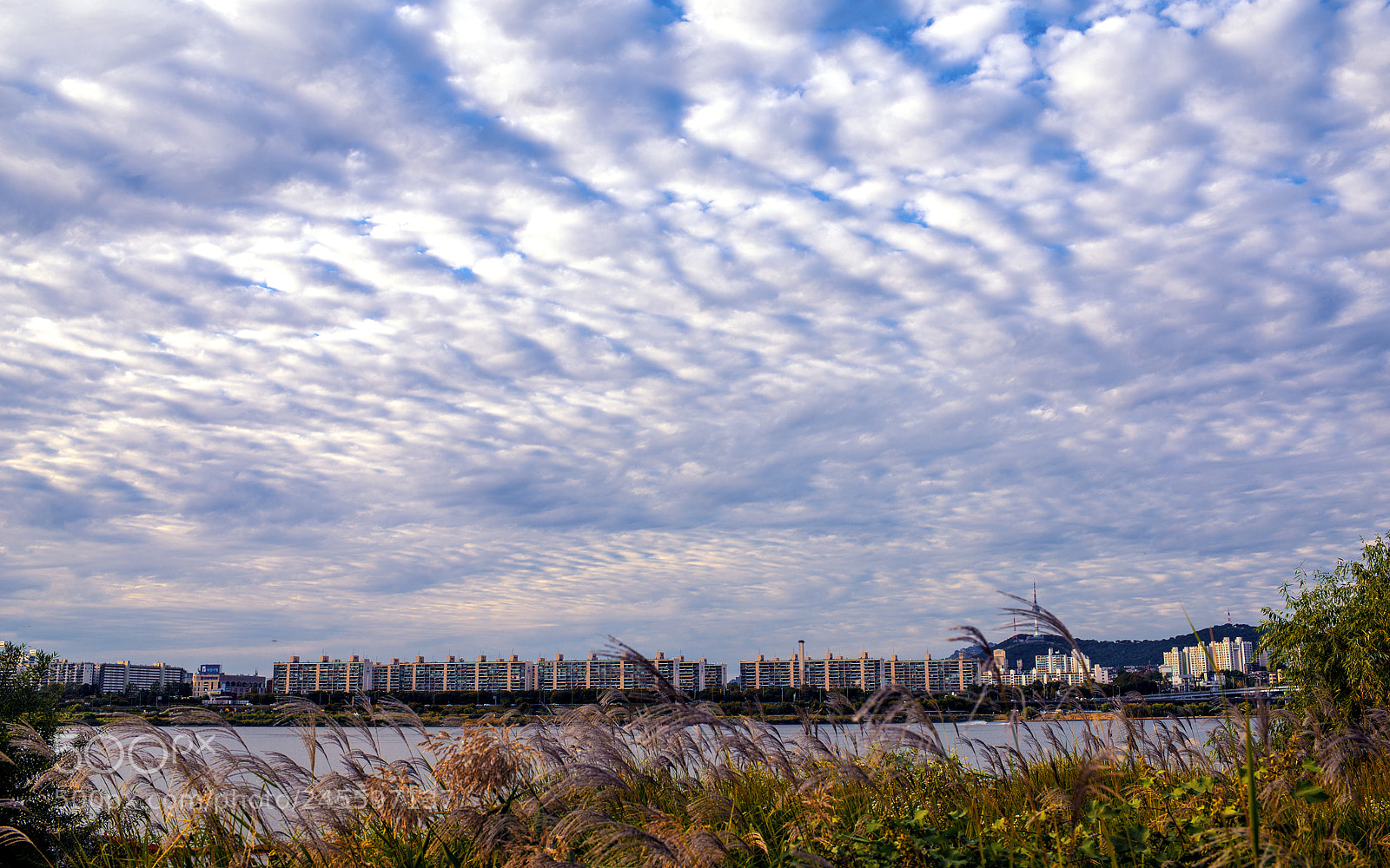 Nikon D610 sample photo. Untitled photography