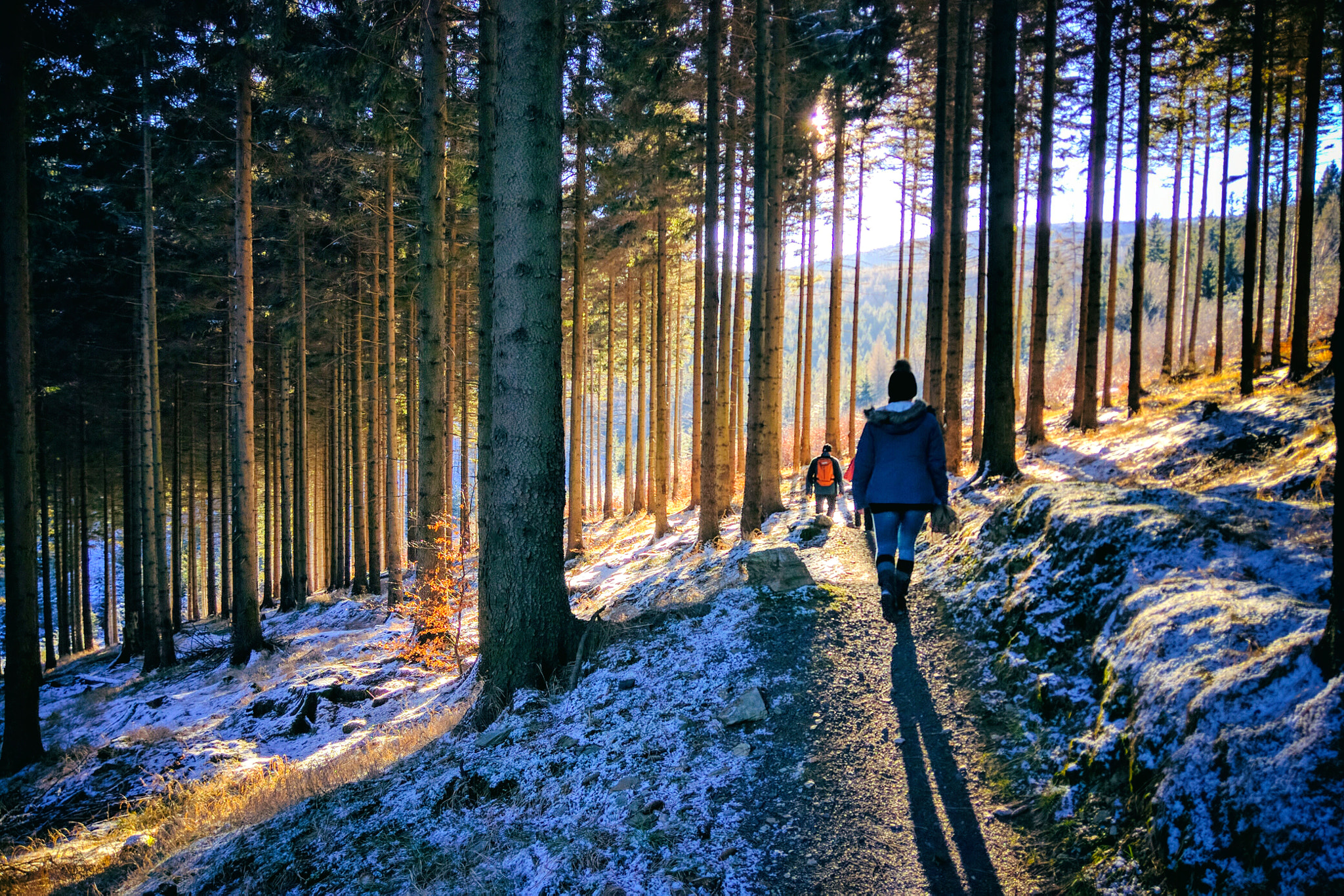 Motorola Nexus 6 sample photo. Winter woods photography