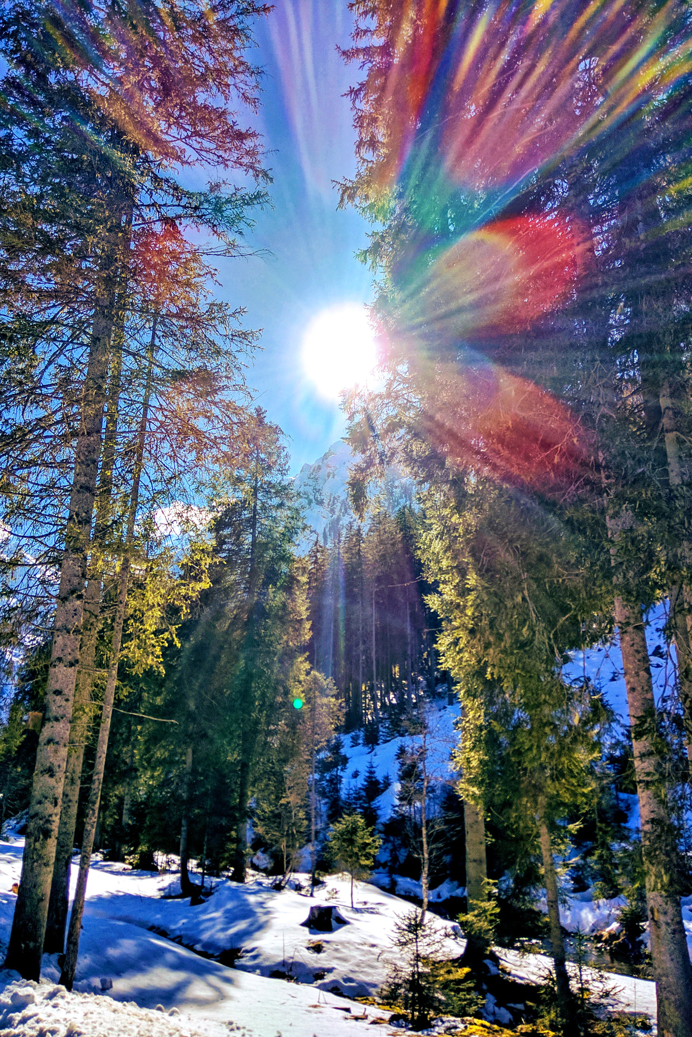 Motorola Nexus 6 sample photo. Winter sun photography