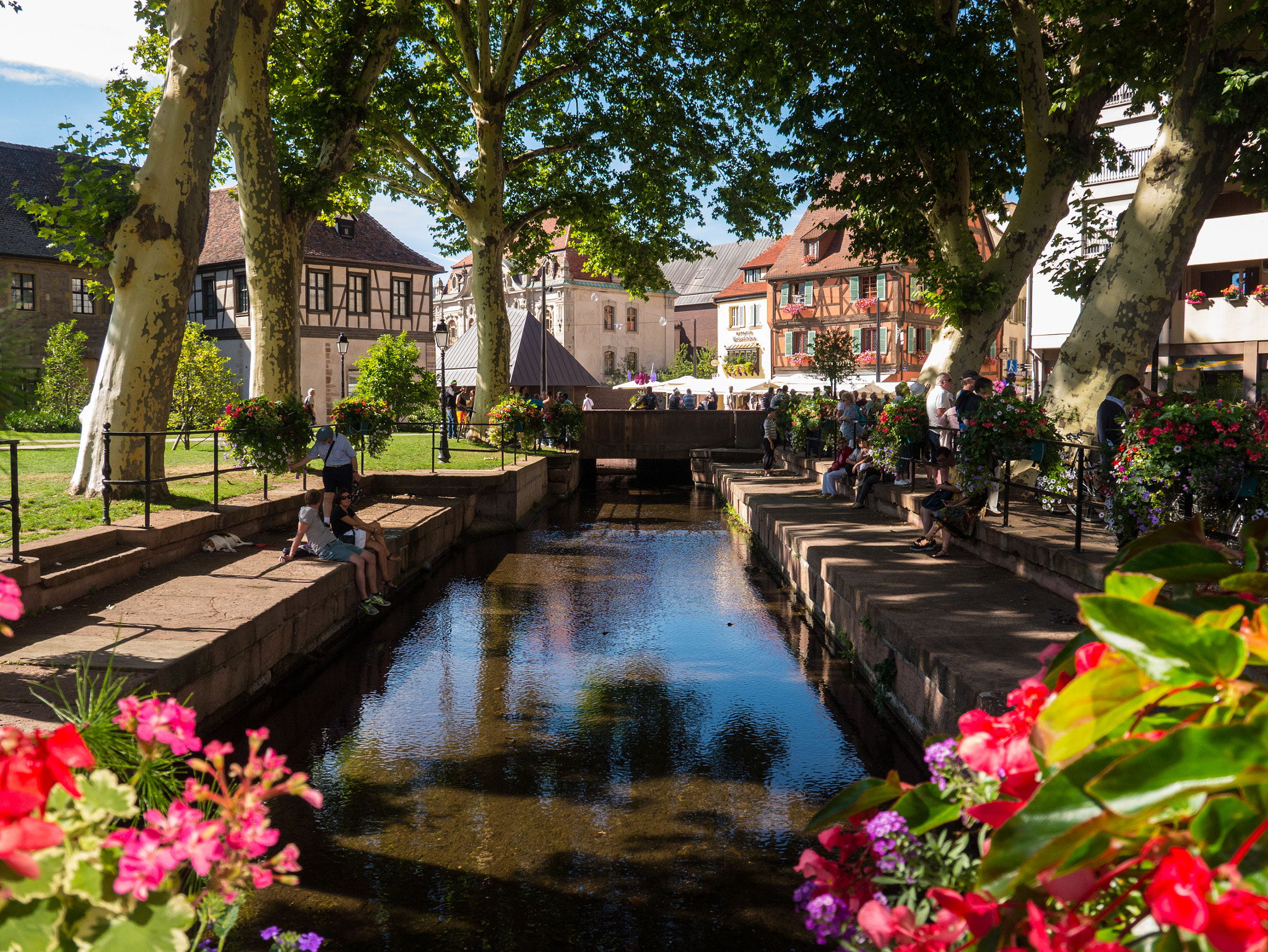 Panasonic Lumix DMC-GF6 sample photo. Colmar photography