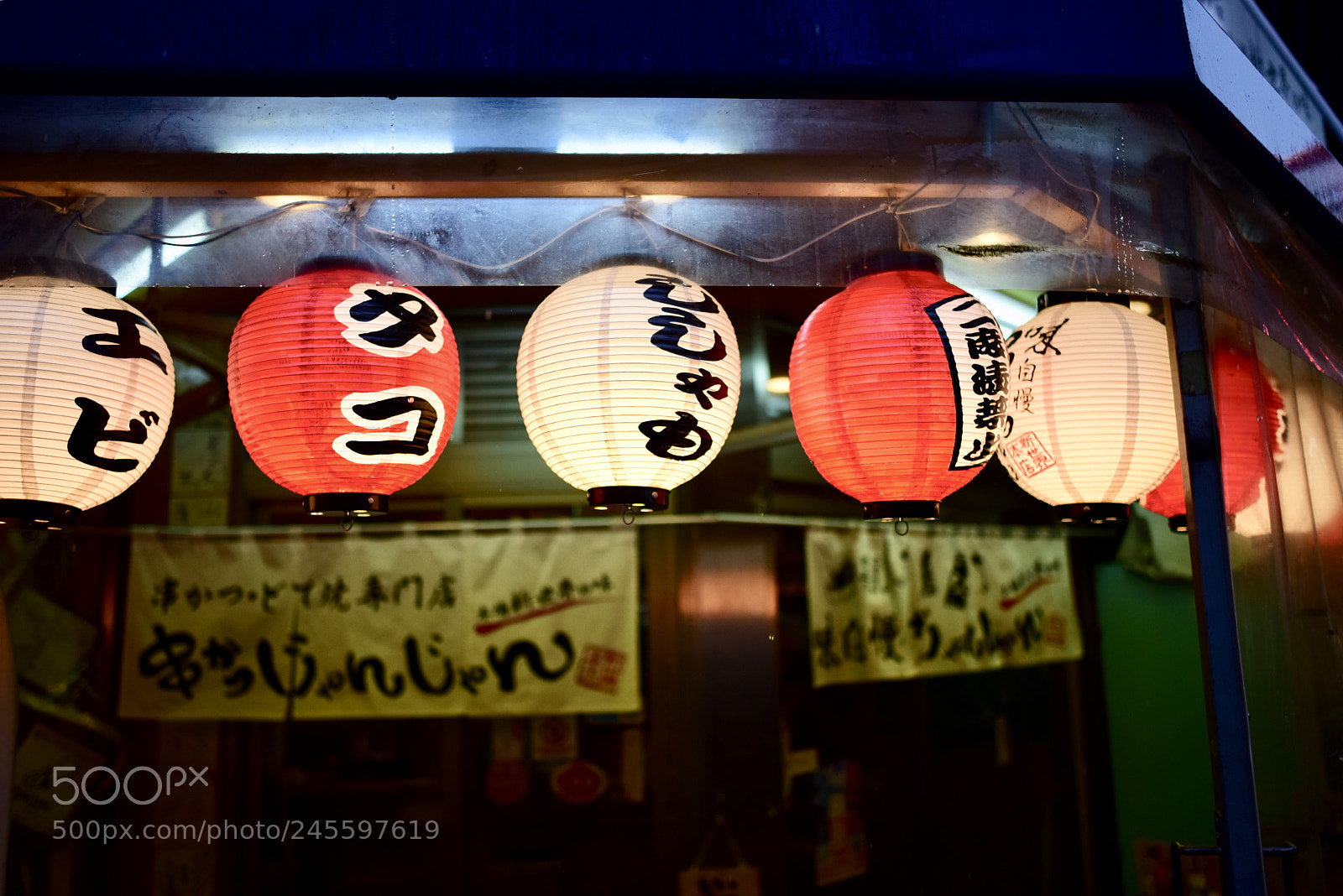 Nikon D810 sample photo. Lost in osaka photography